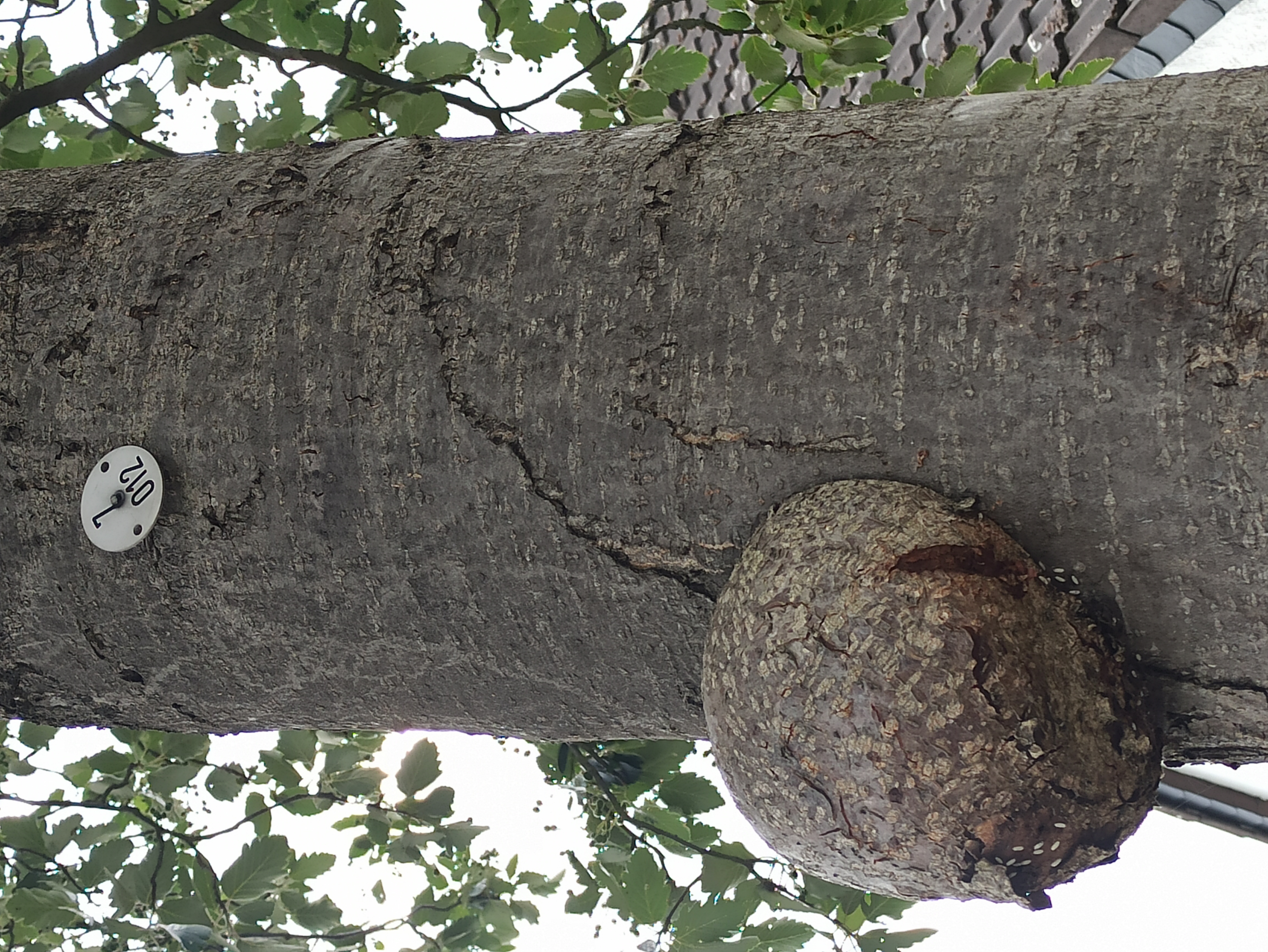 Open311 file from 2022-06-28 12:15:54