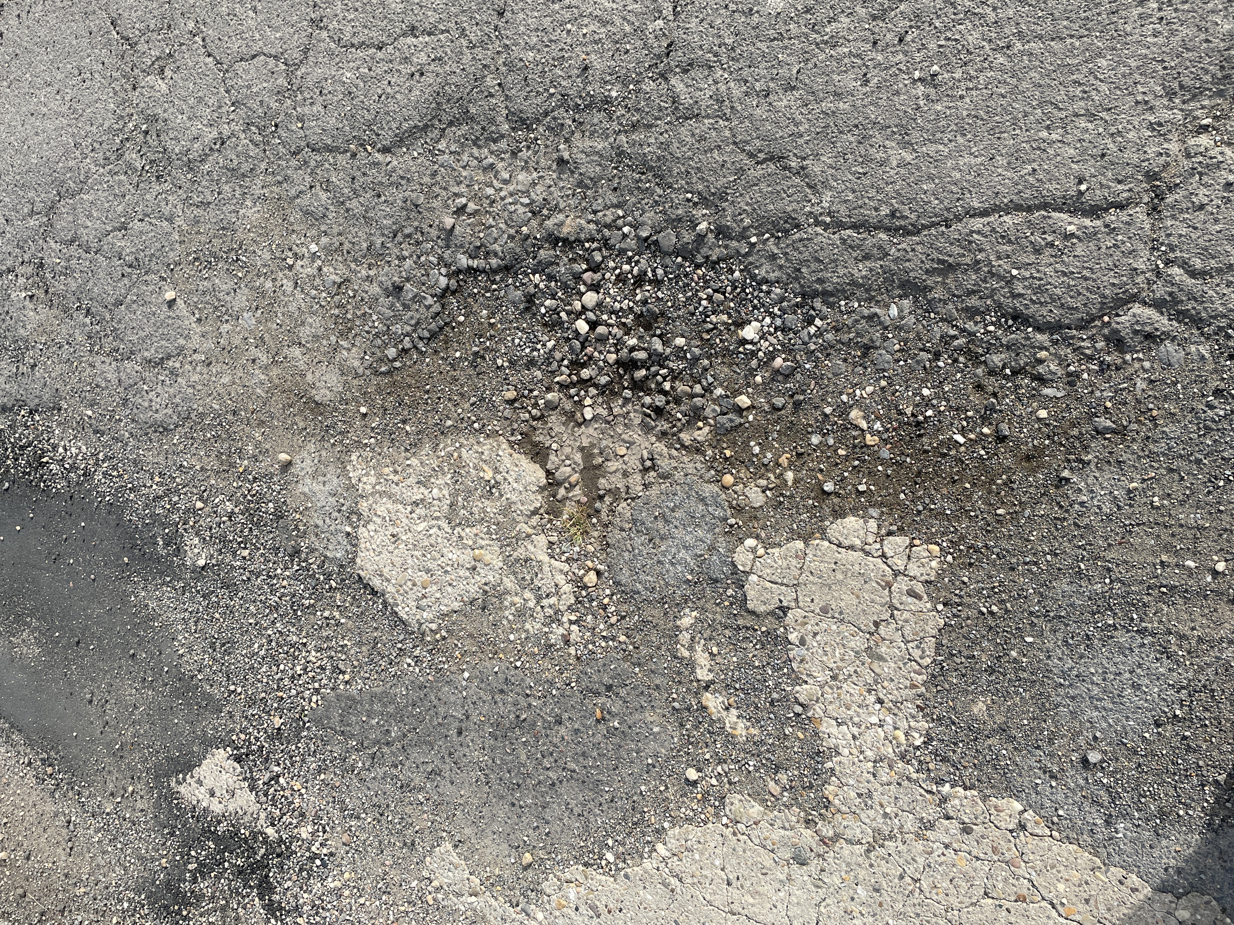 Open311 file from 2022-06-08 09:36:33