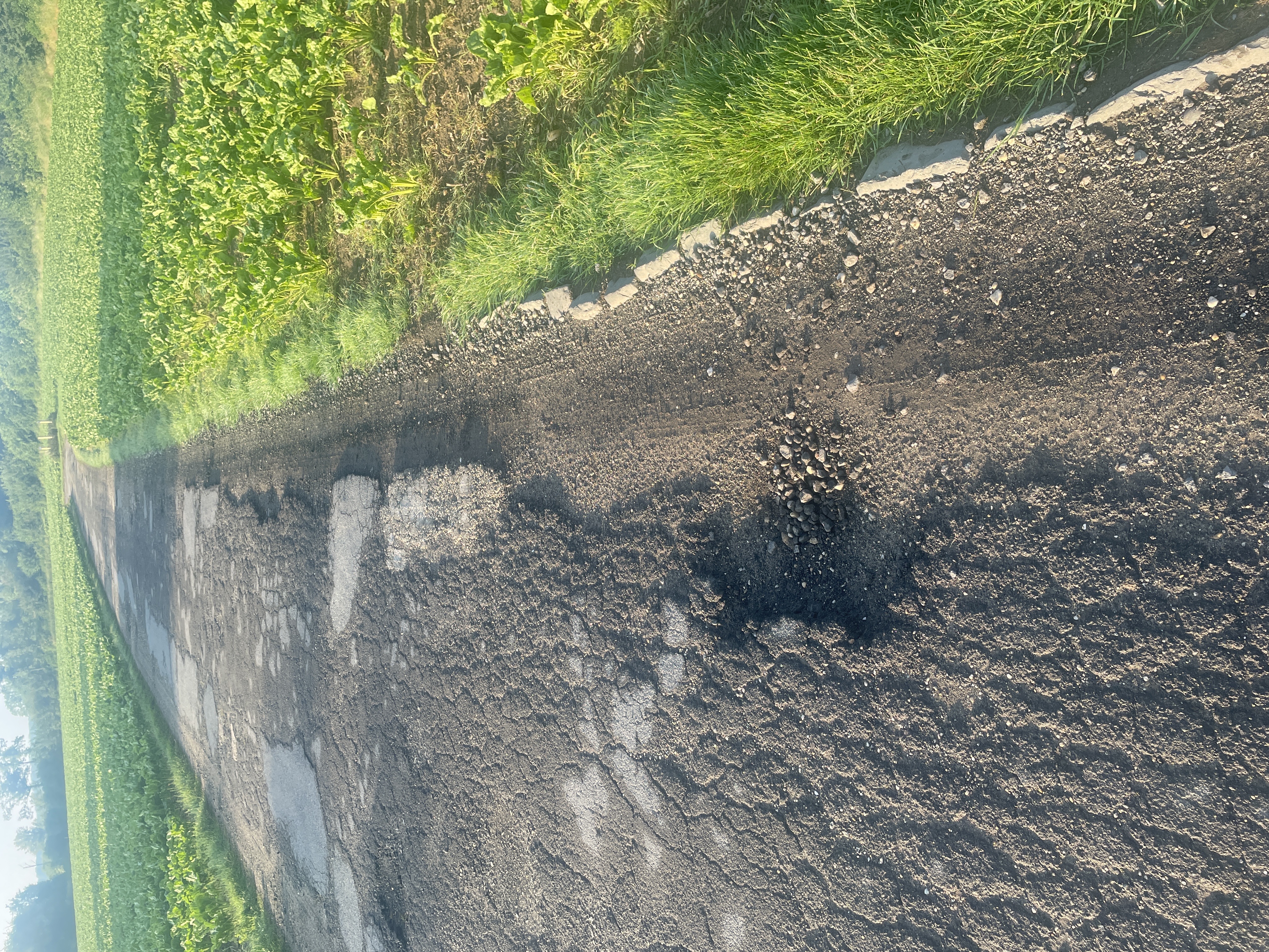 Open311 file from 2022-06-02 10:56:12