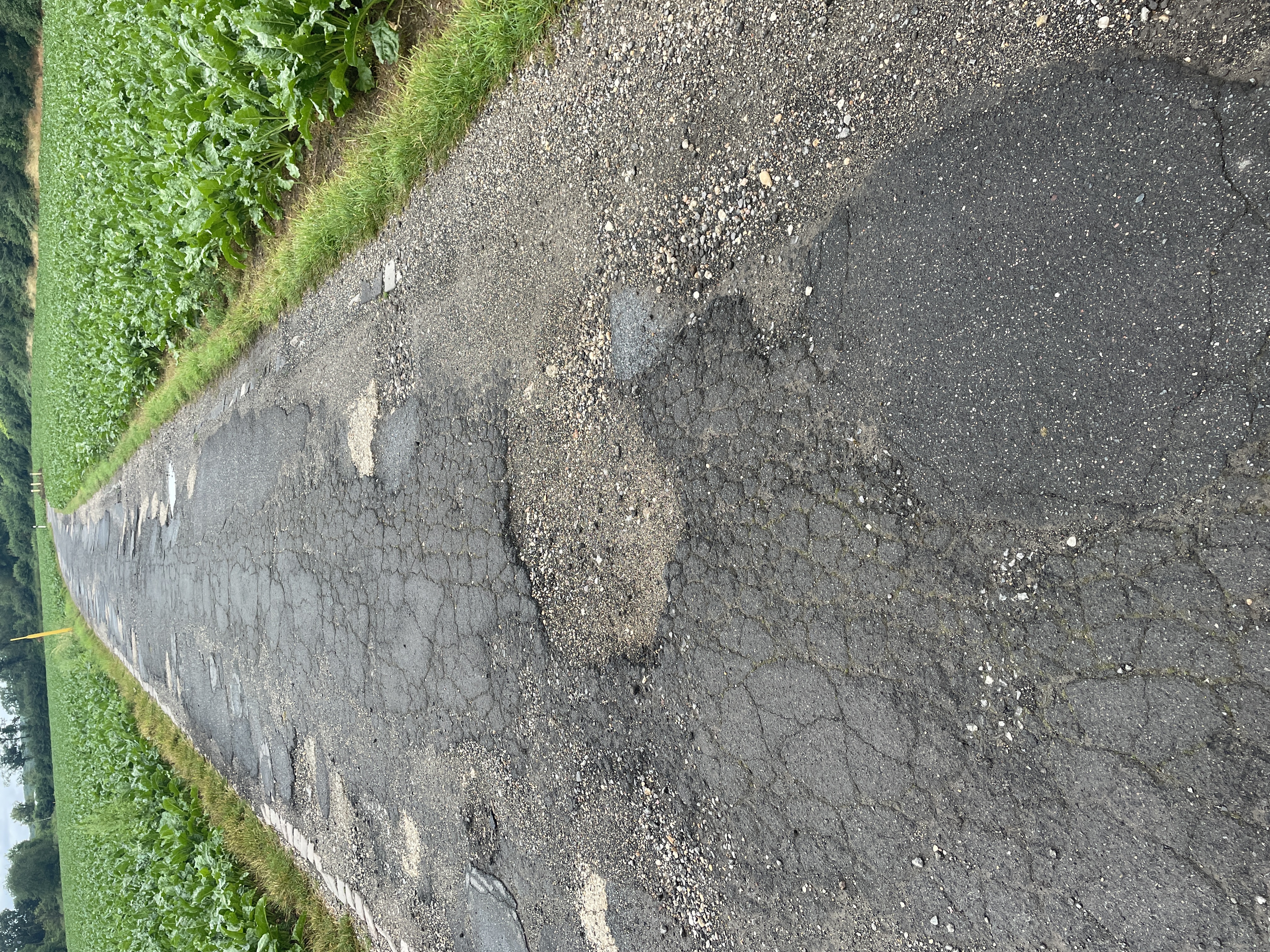 Open311 file from 2022-06-24 06:51:44