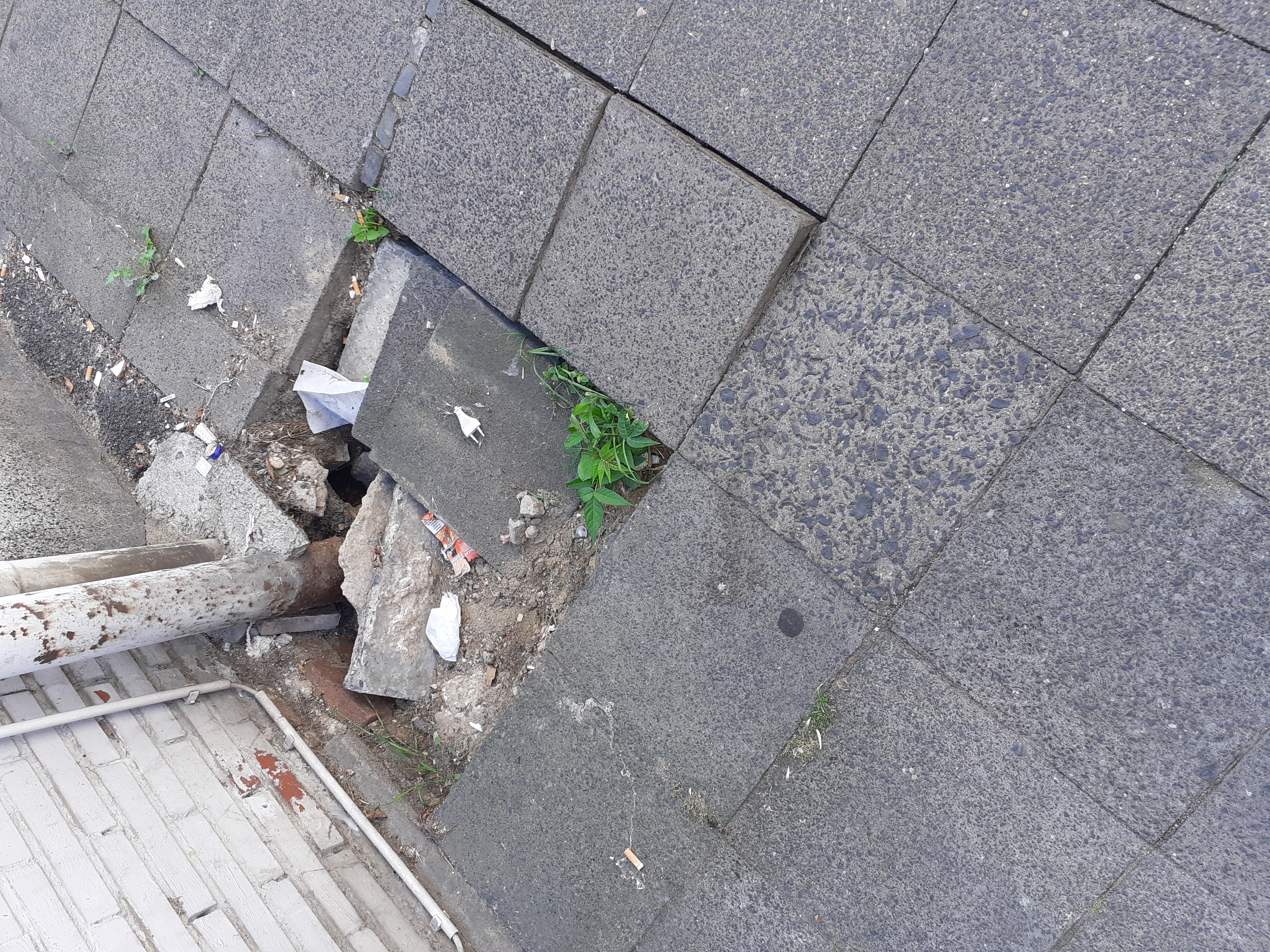 Open311 file from 2022-08-09 10:59:30