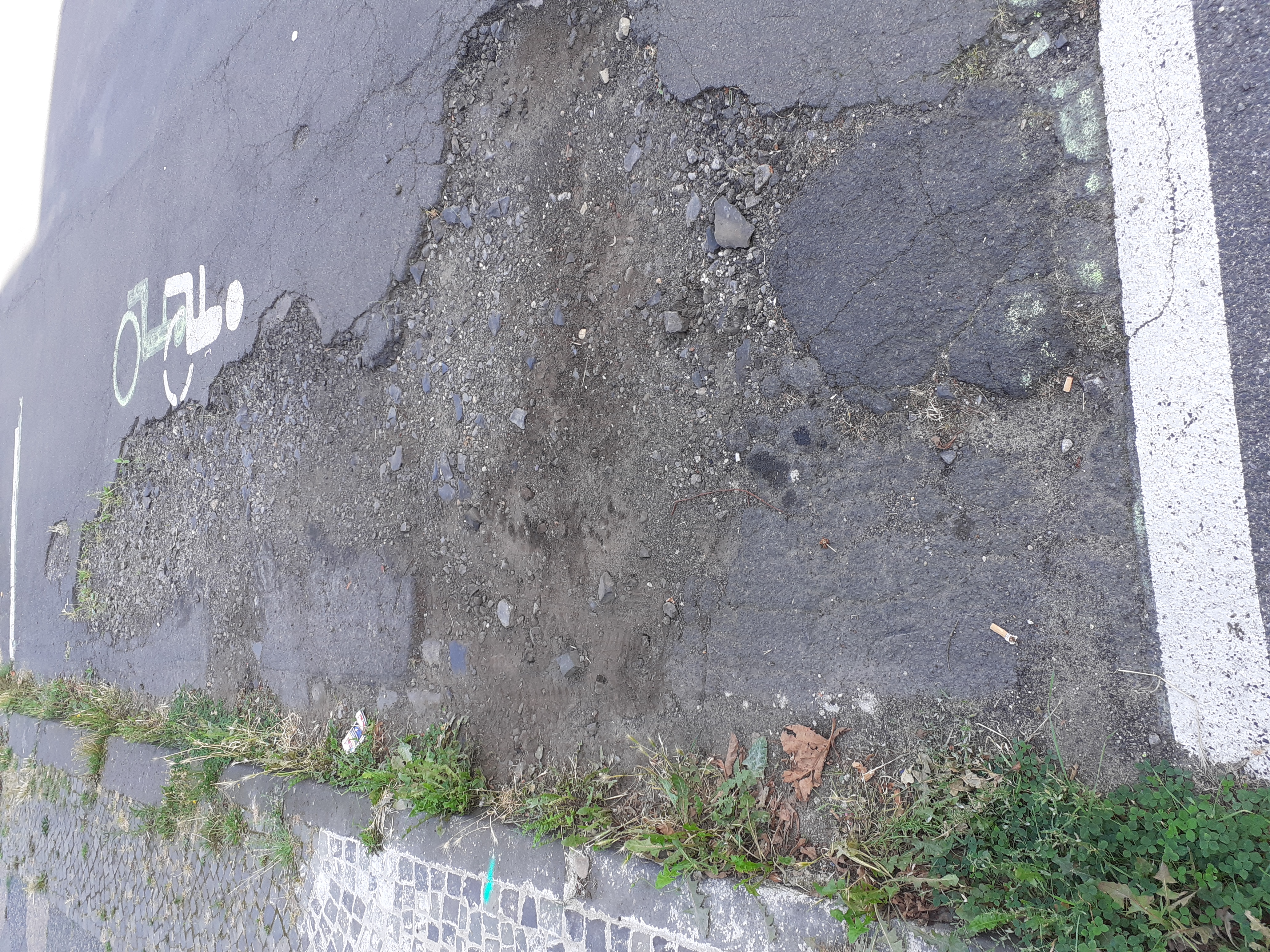 Open311 file from 2022-08-24 11:28:16