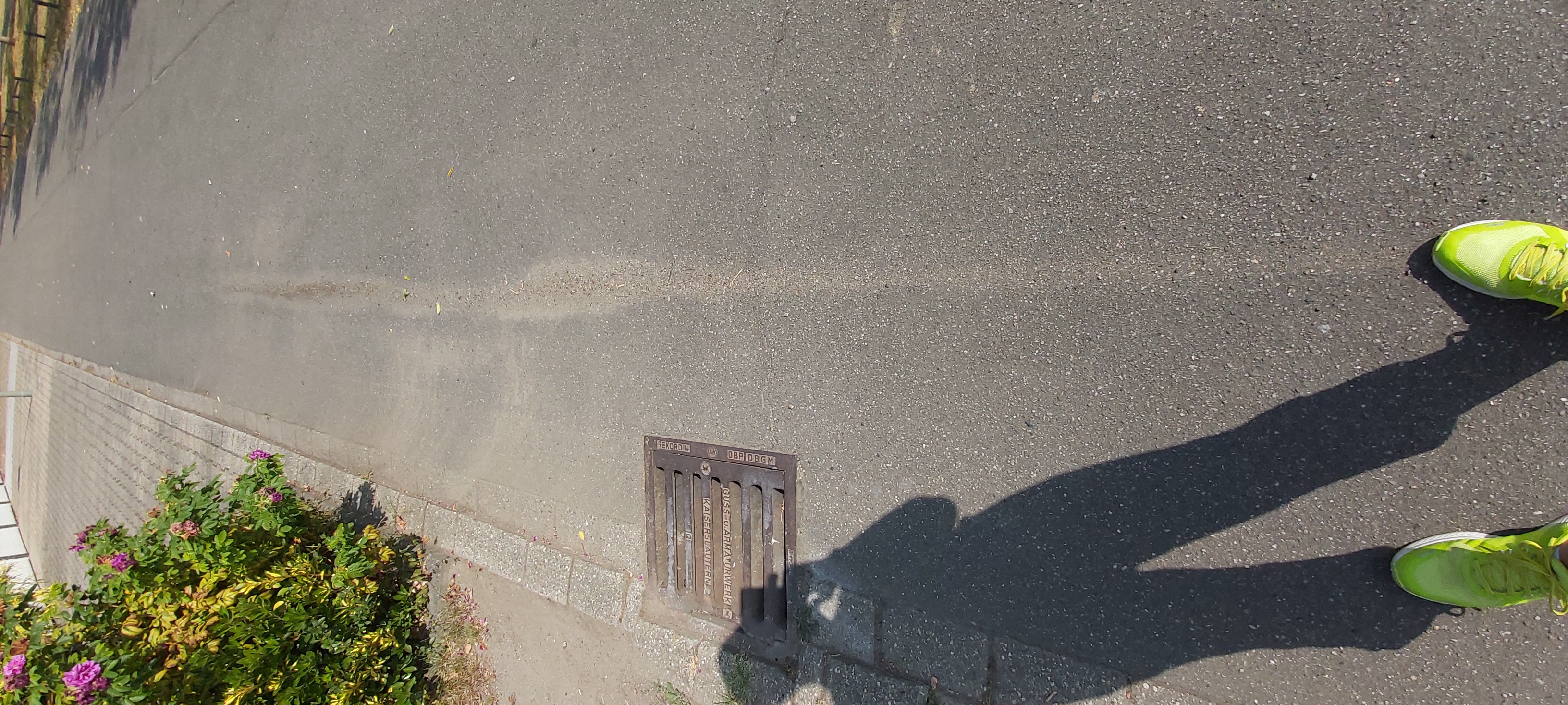 Open311 file from 2022-08-31 15:10:41