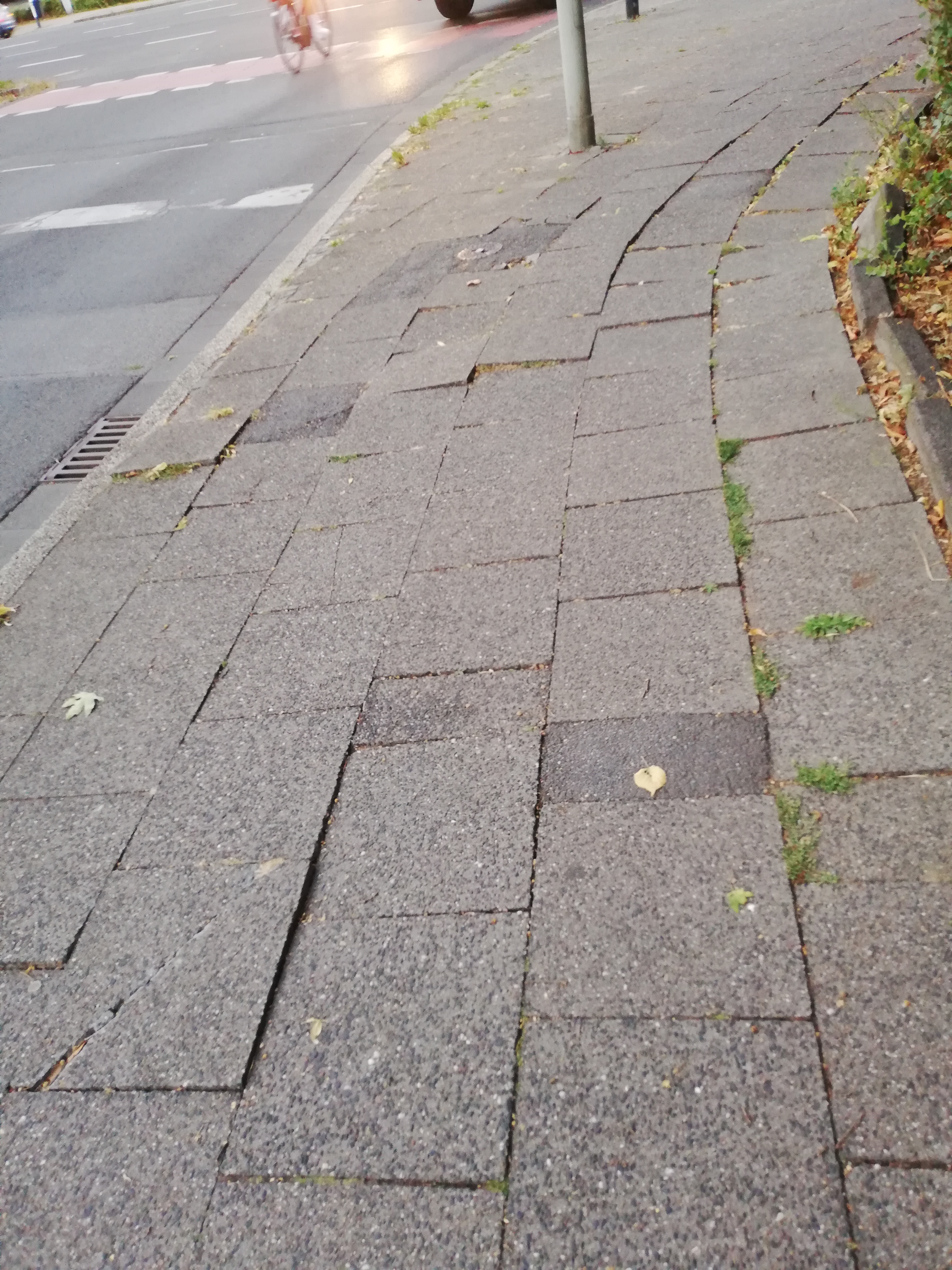 Open311 file from 2022-09-01 09:34:03