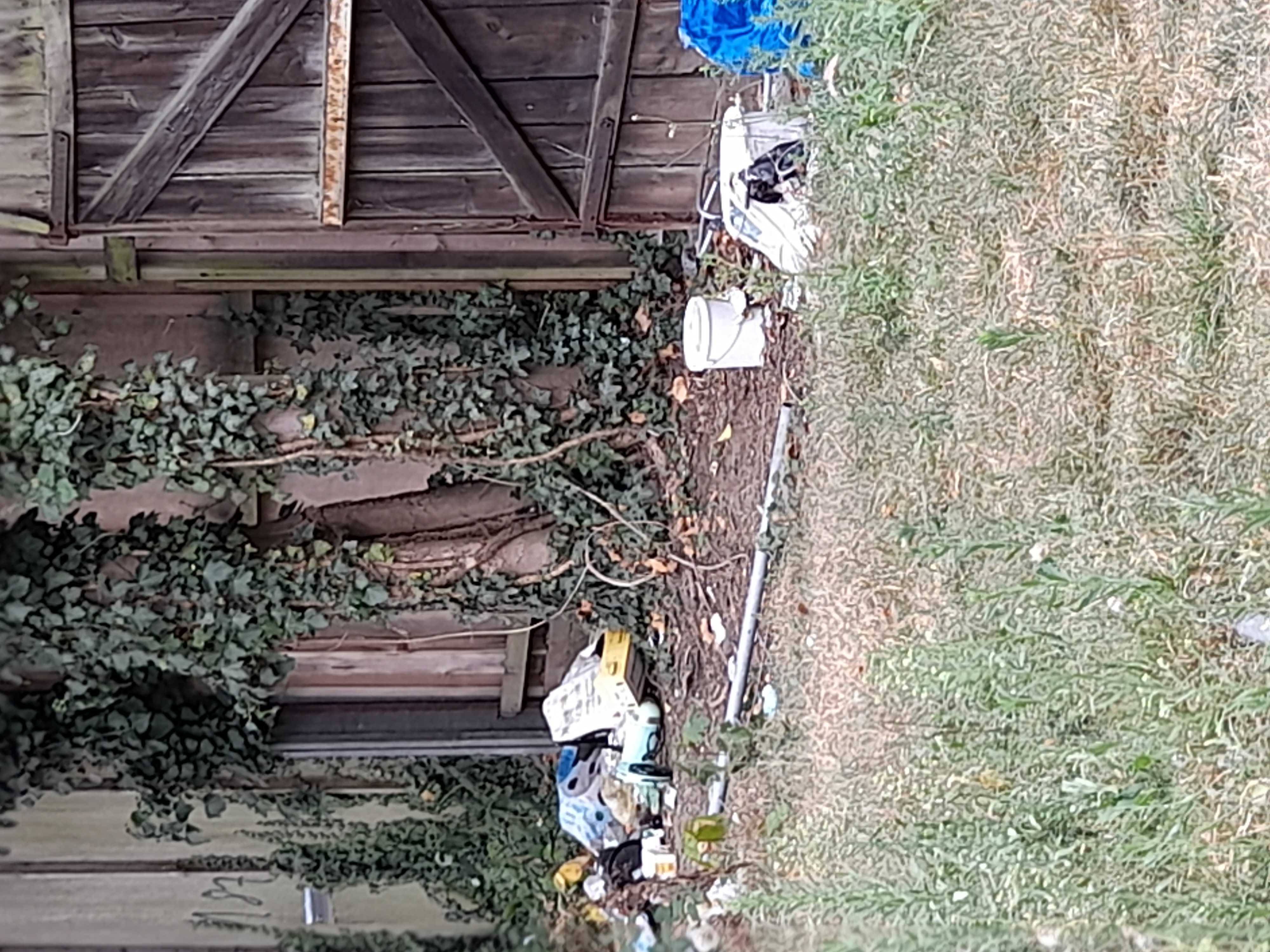 Open311 file from 2022-09-02 06:51:09