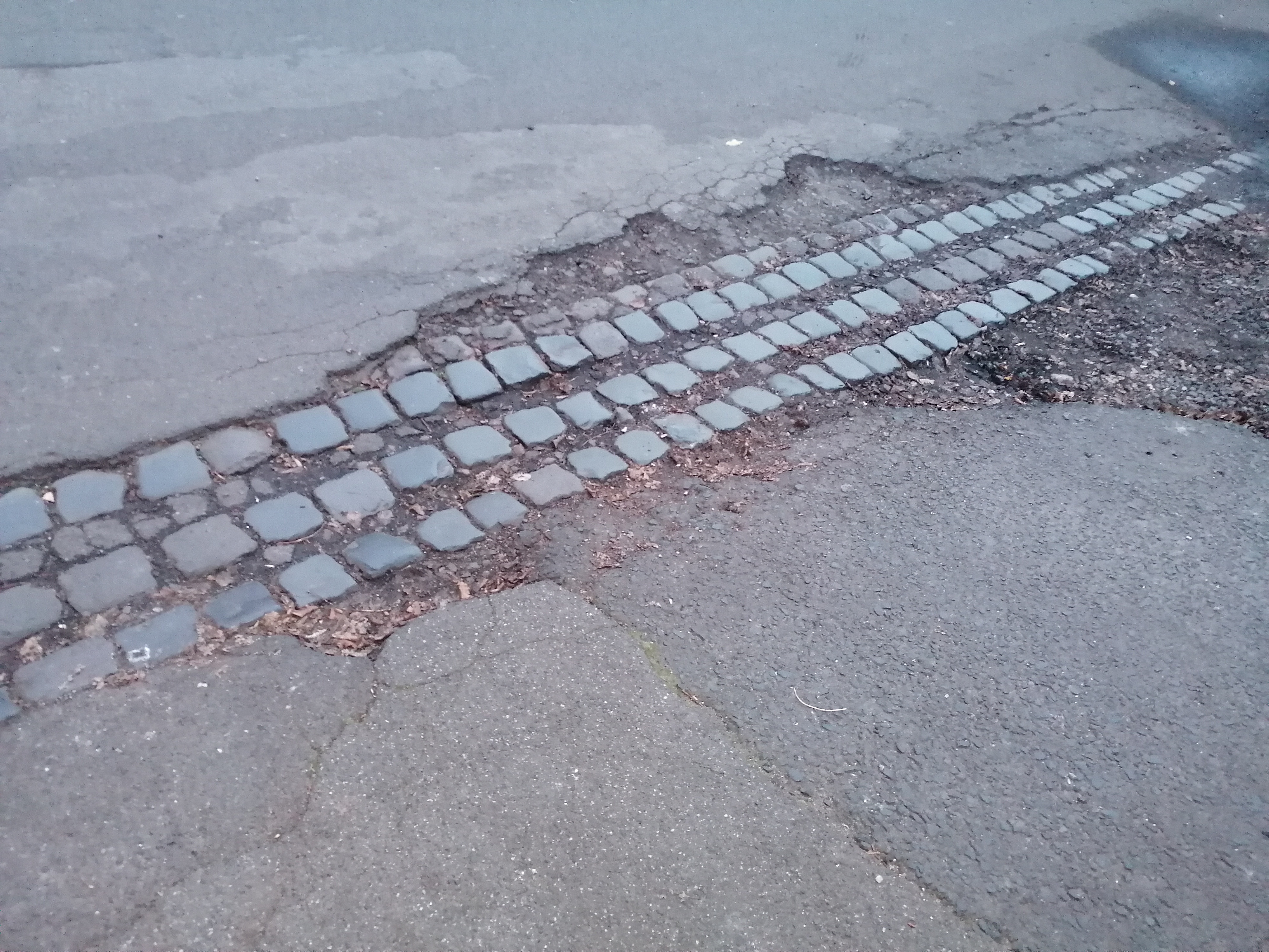 Open311 file from 2022-11-15 12:03:47