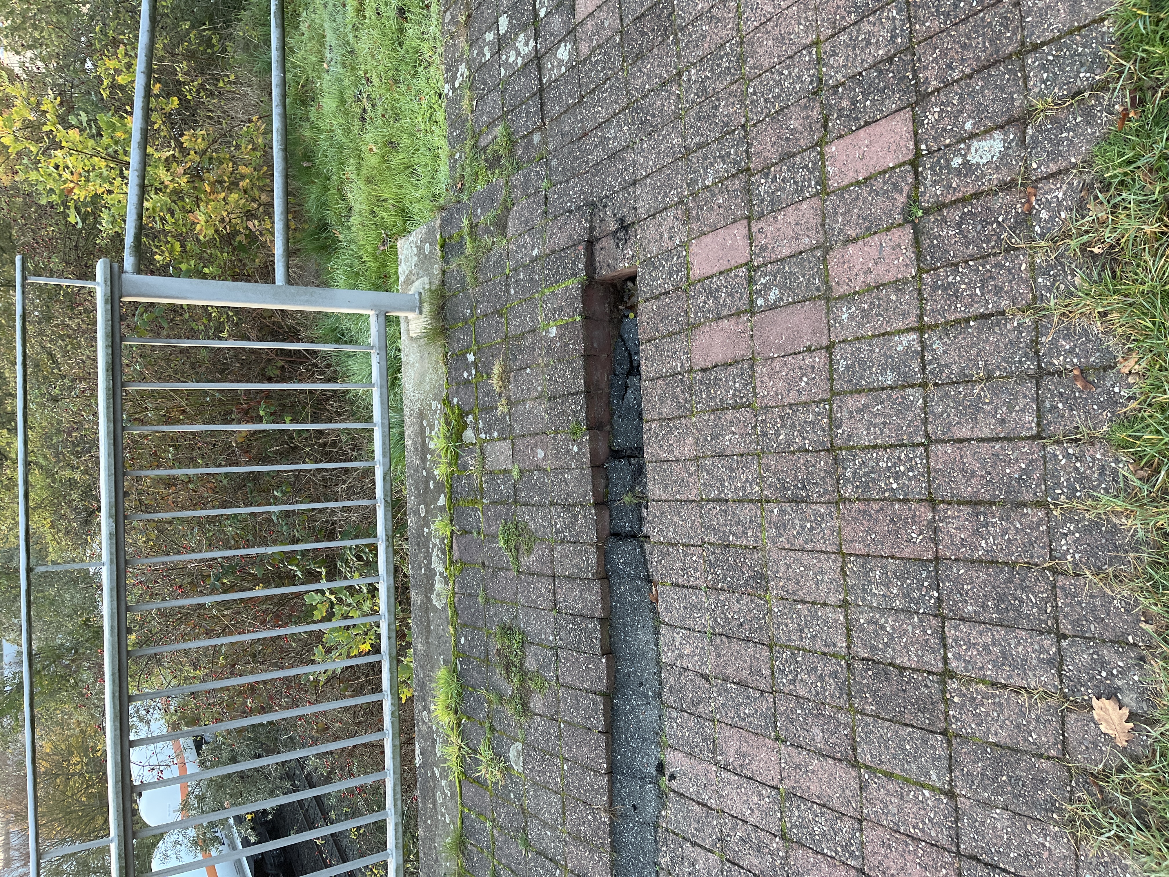 Open311 file from 2022-11-11 07:51:02