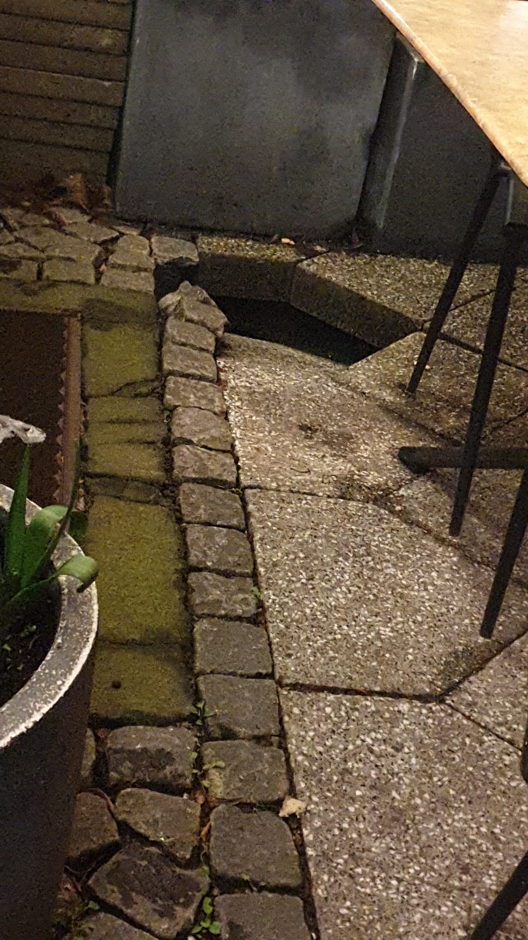 Open311 file from 2024-02-23 08:14:46