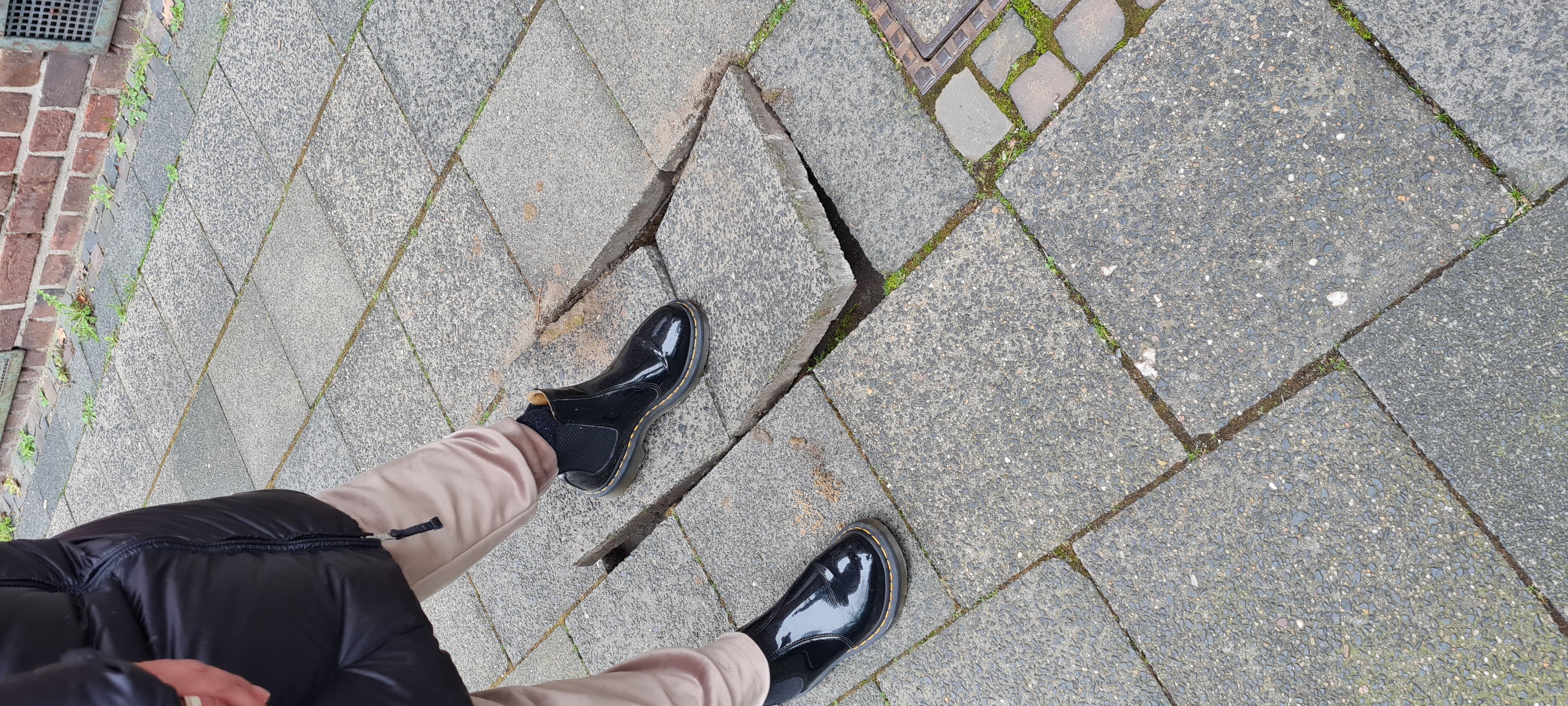 Open311 file from 2023-02-01 09:02:41