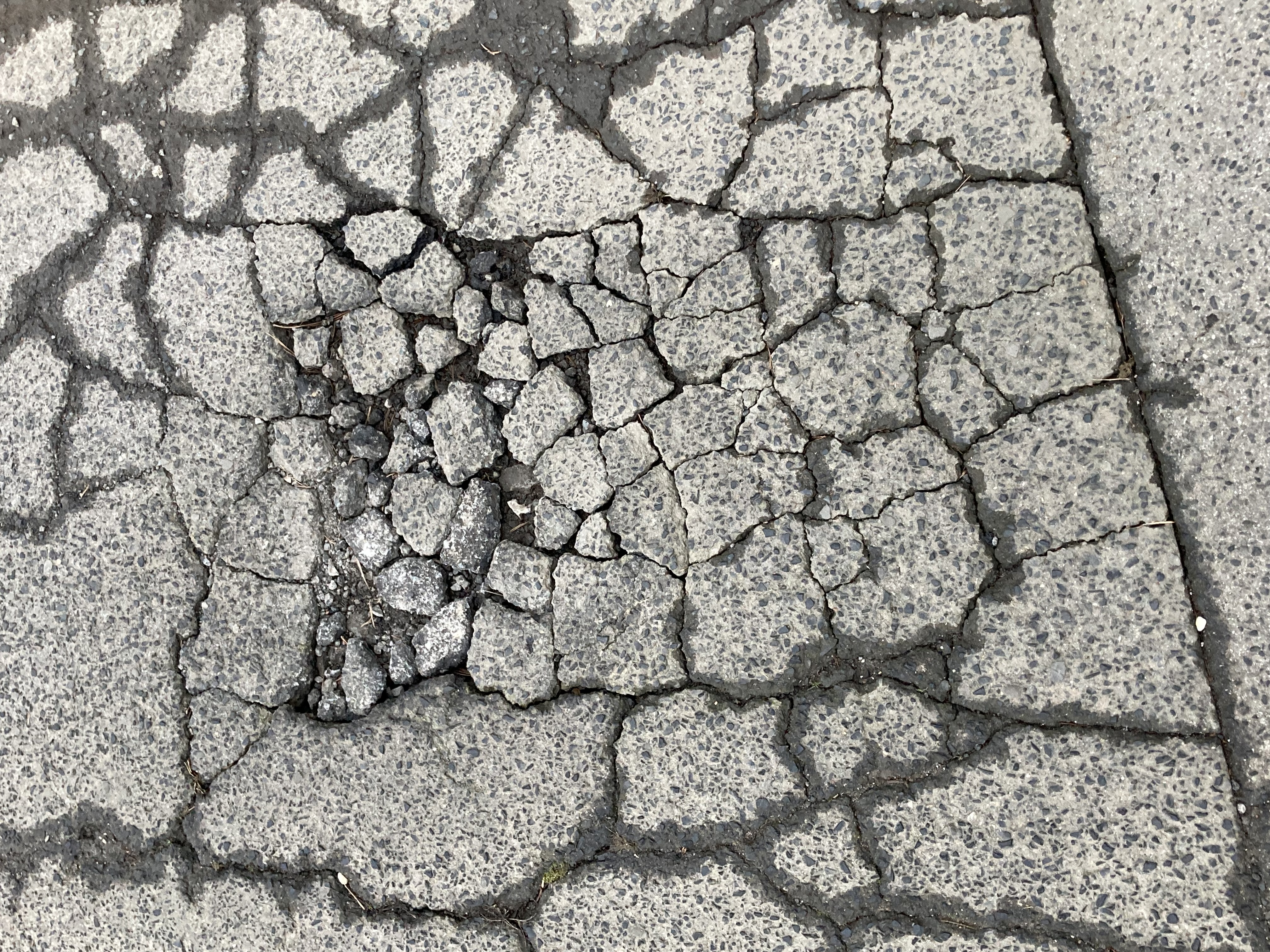 Open311 file from 2023-01-30 08:31:11