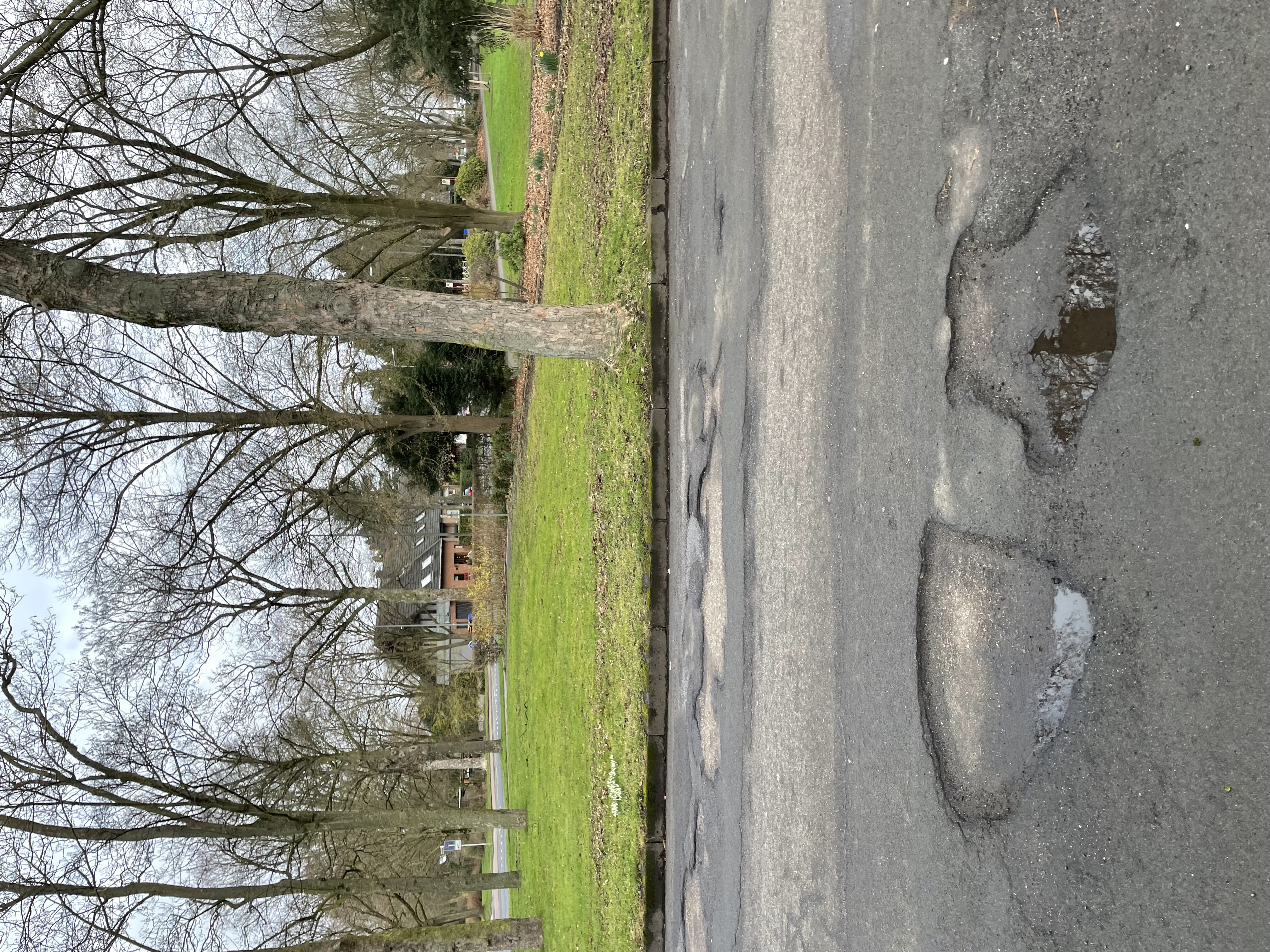 Open311 file from 2023-03-01 06:38:51