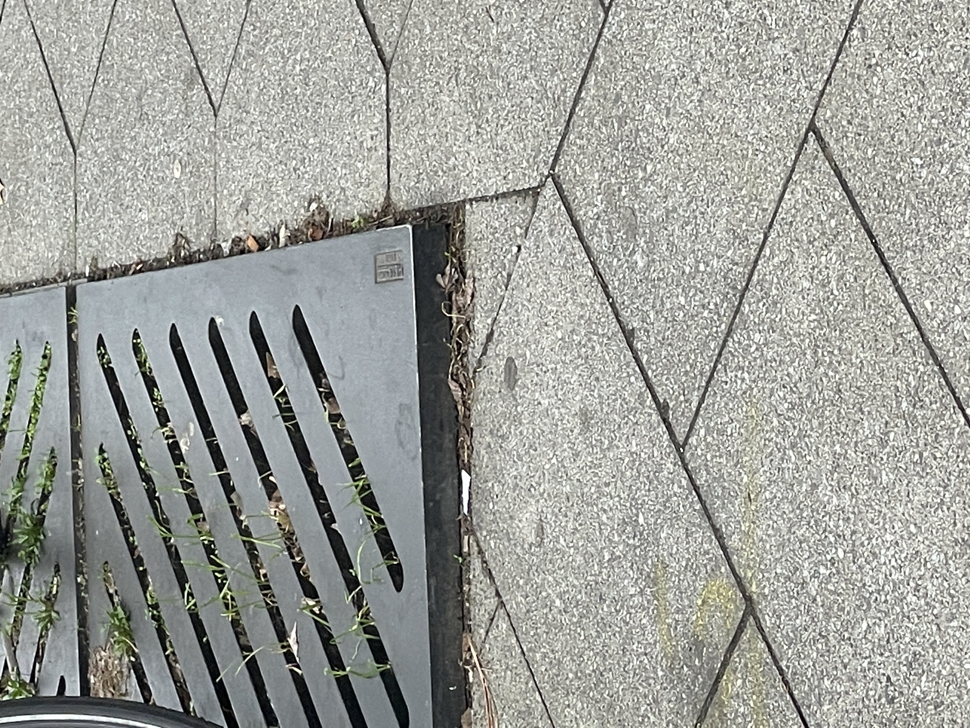 Open311 file from 2023-03-10 12:48:45