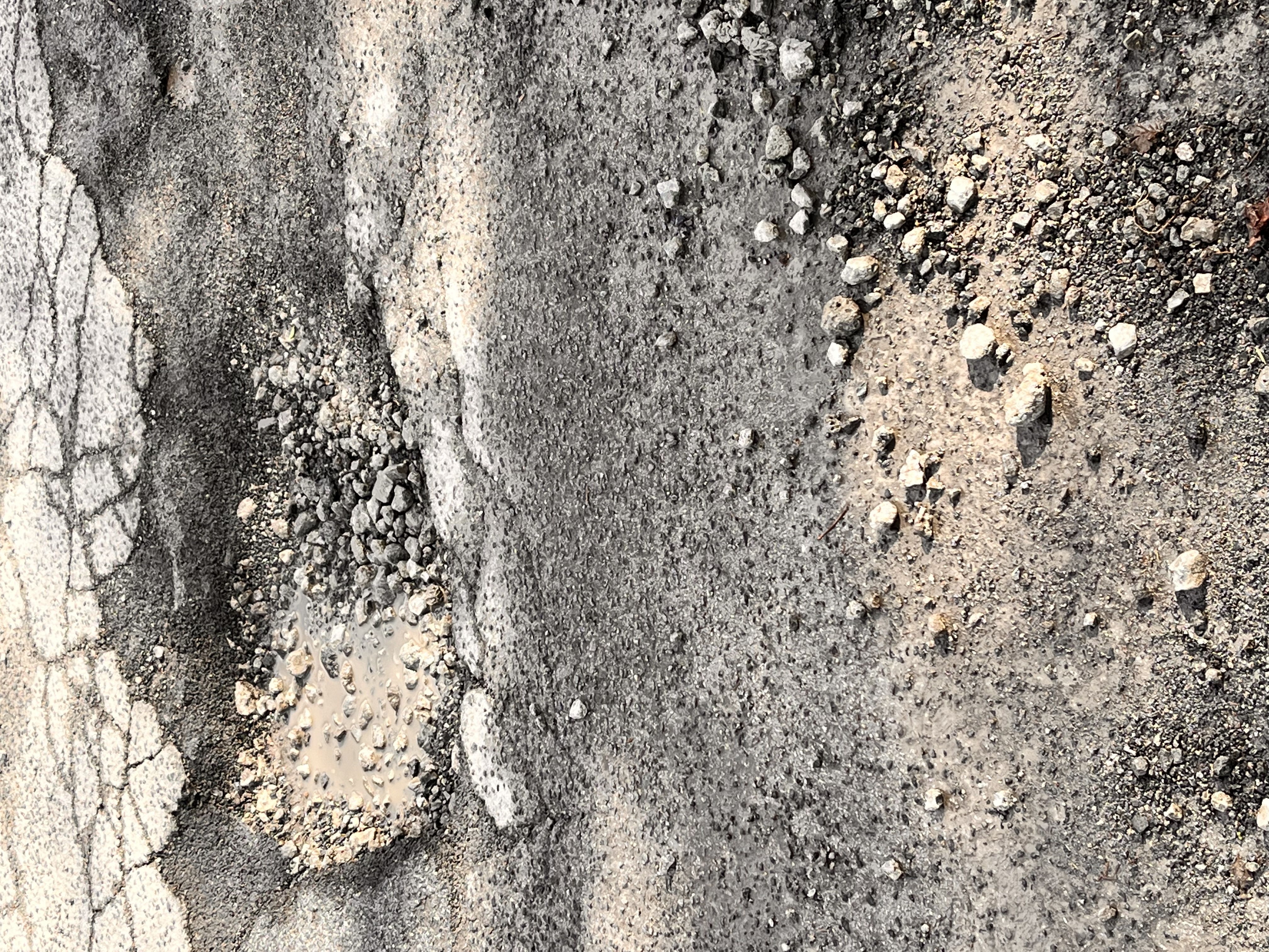 Open311 file from 2023-03-15 12:23:18