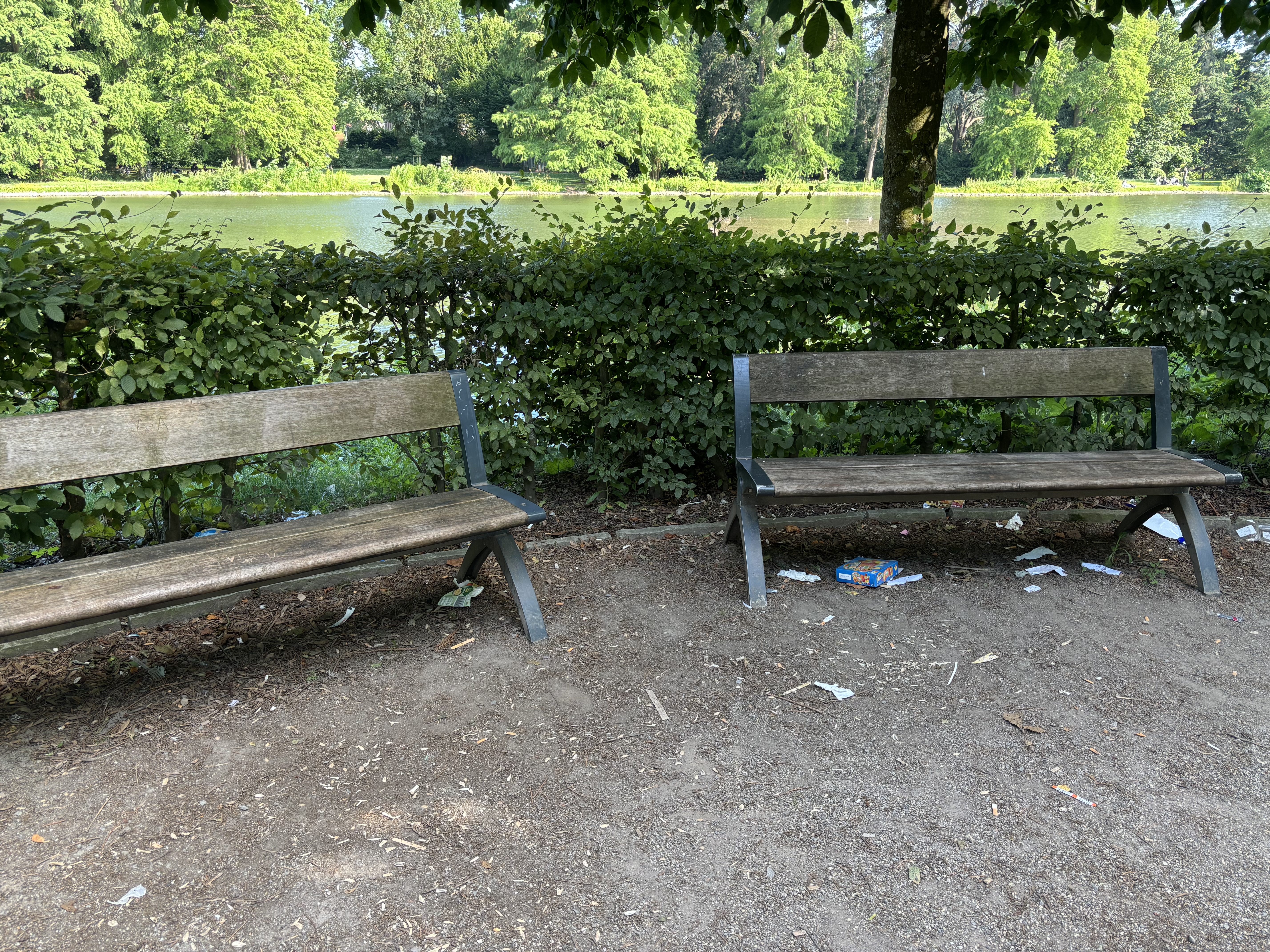 Open311 file from 2025-06-19 18:14:30