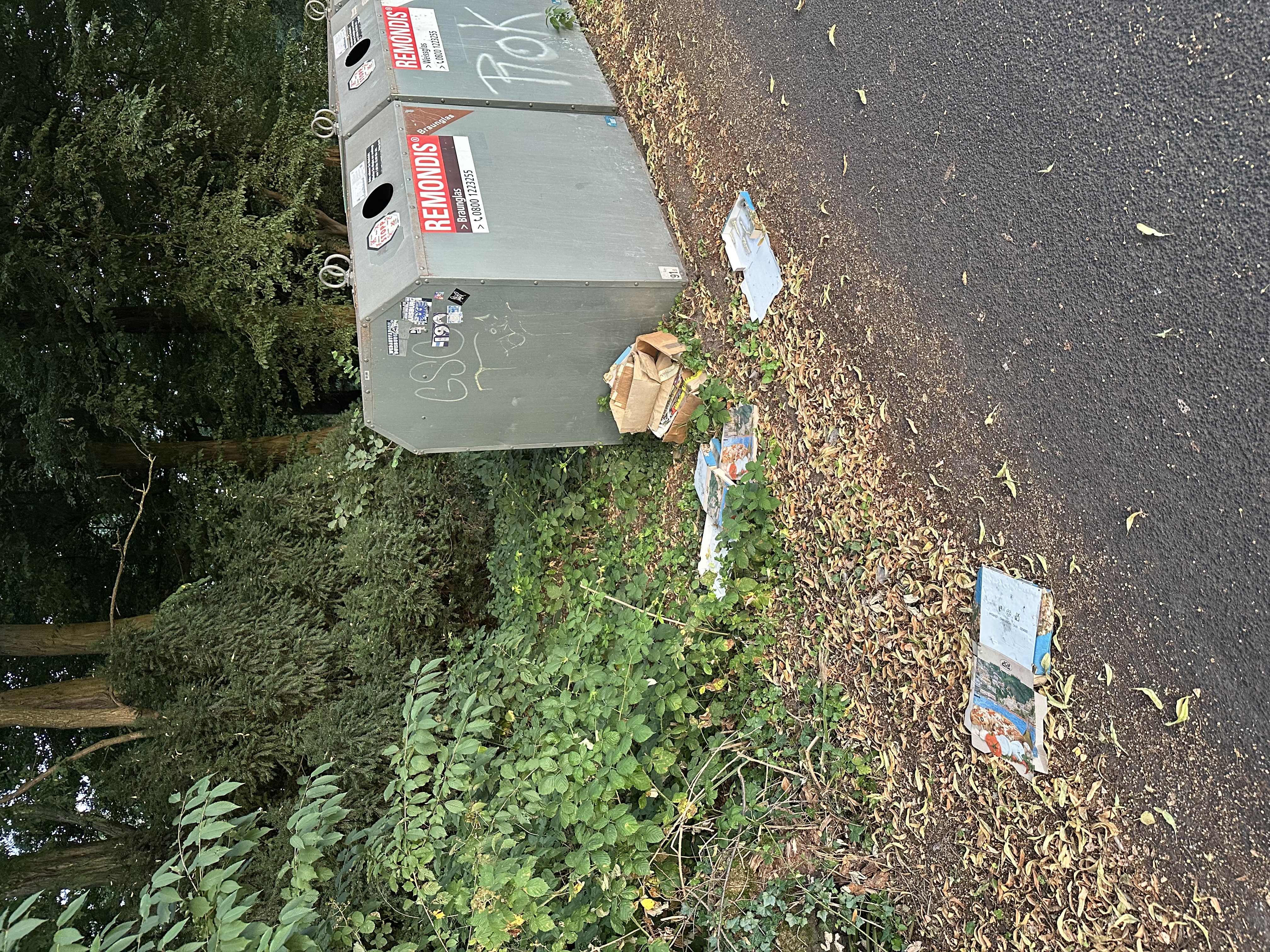 Open311 file from 2025-06-30 05:32:10