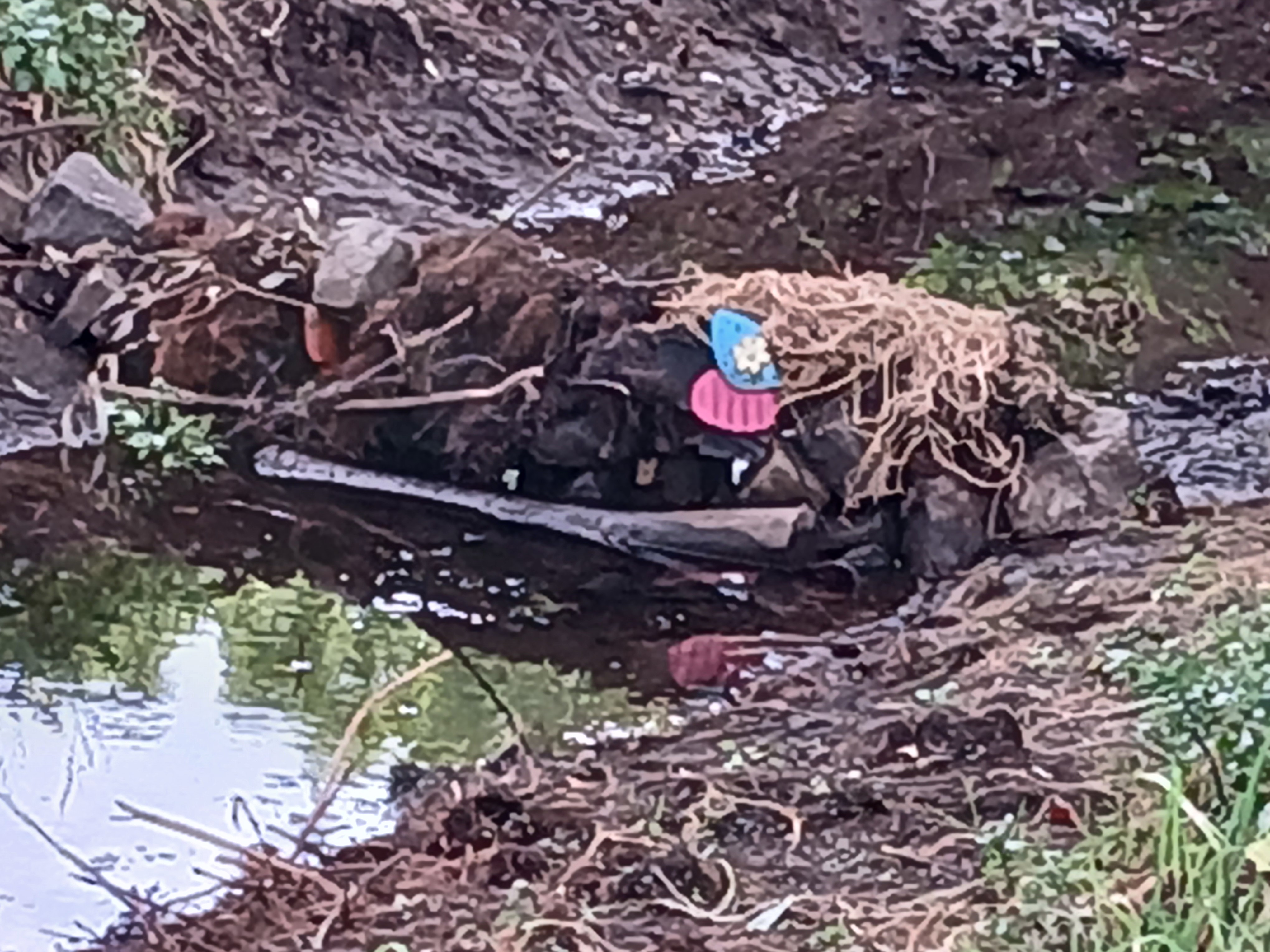 Open311 file from 2025-07-14 08:45:26