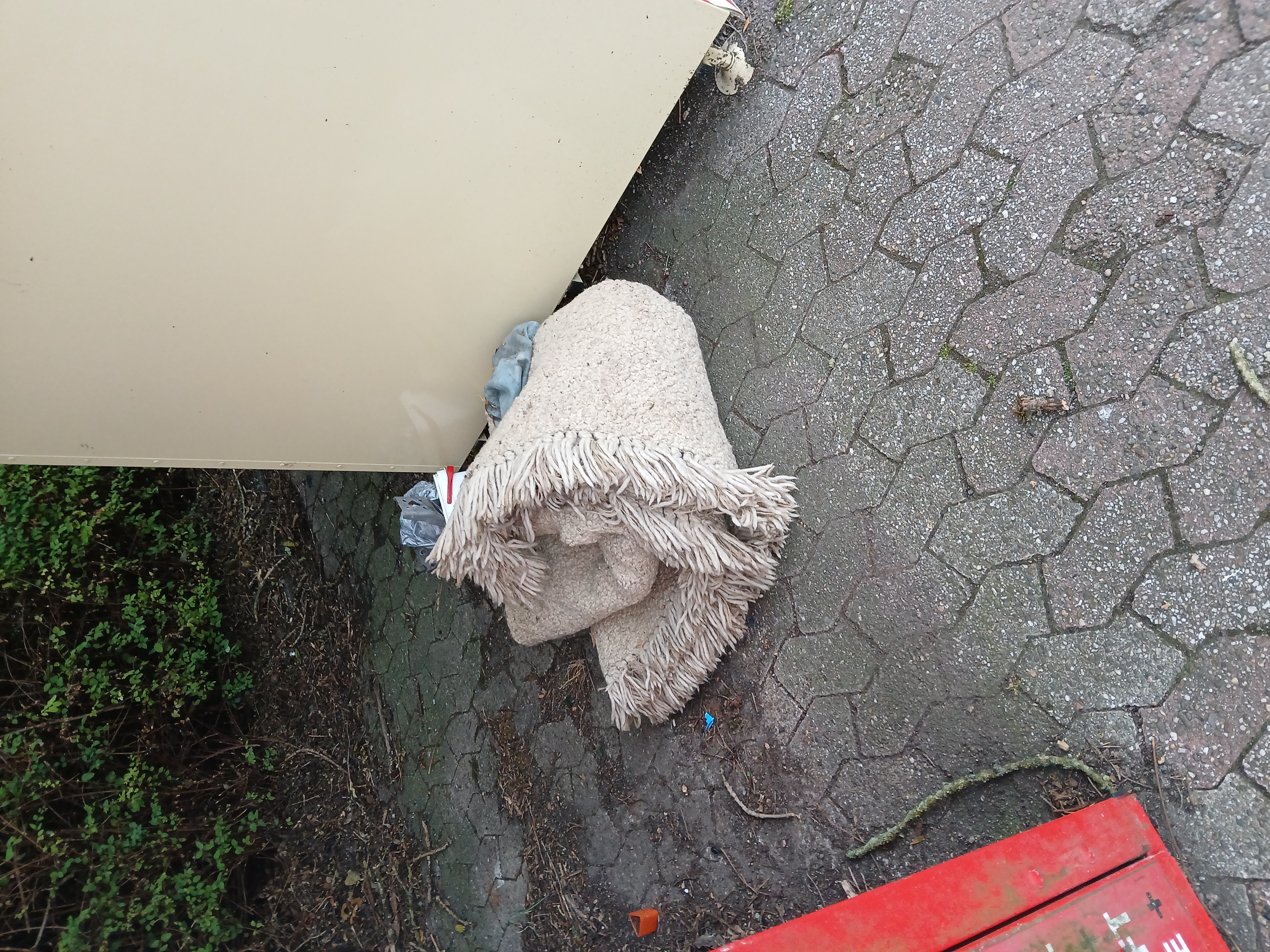 Open311 file from 2025-07-13 07:28:56