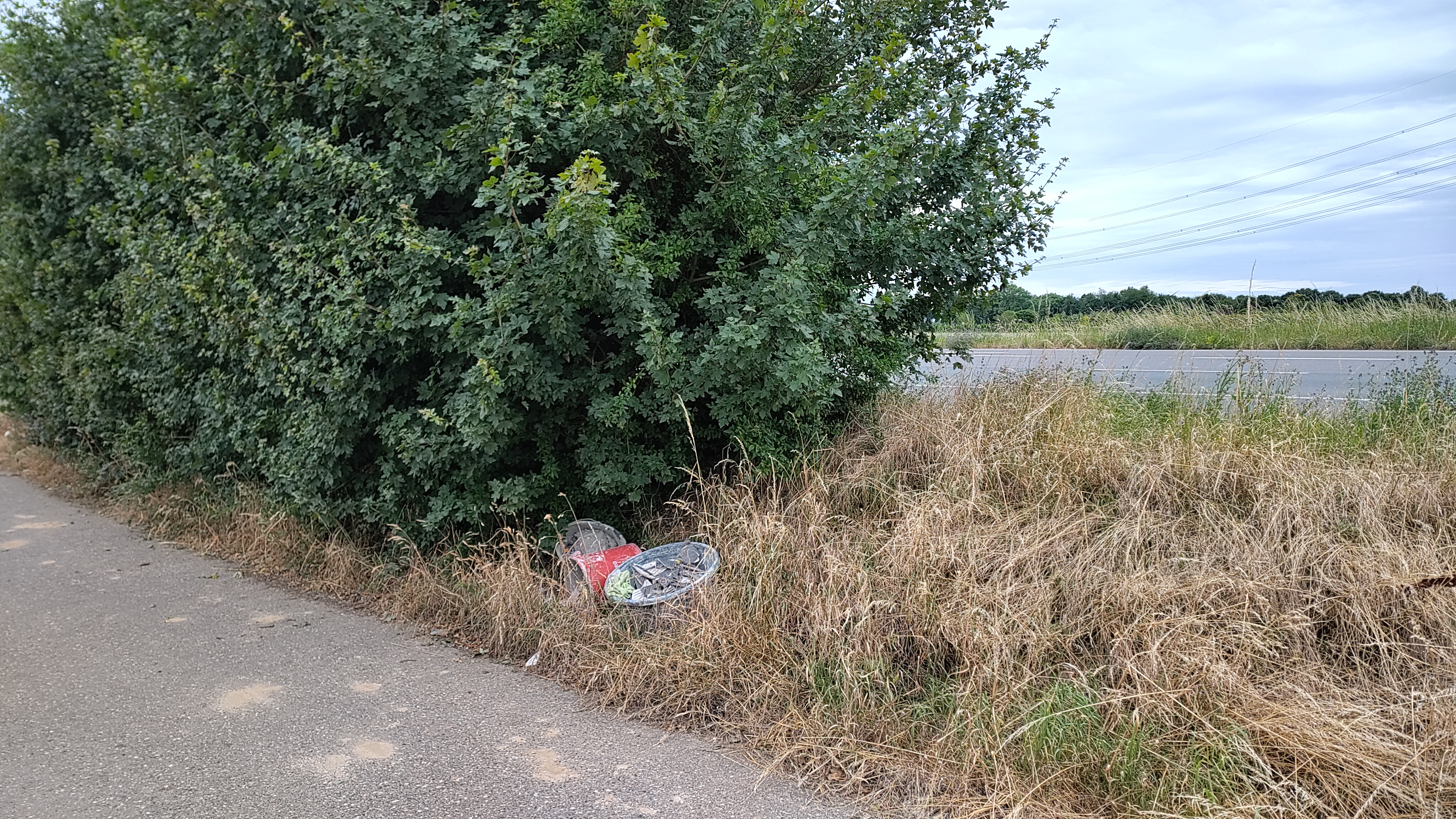 Open311 file from 2025-07-05 19:38:38