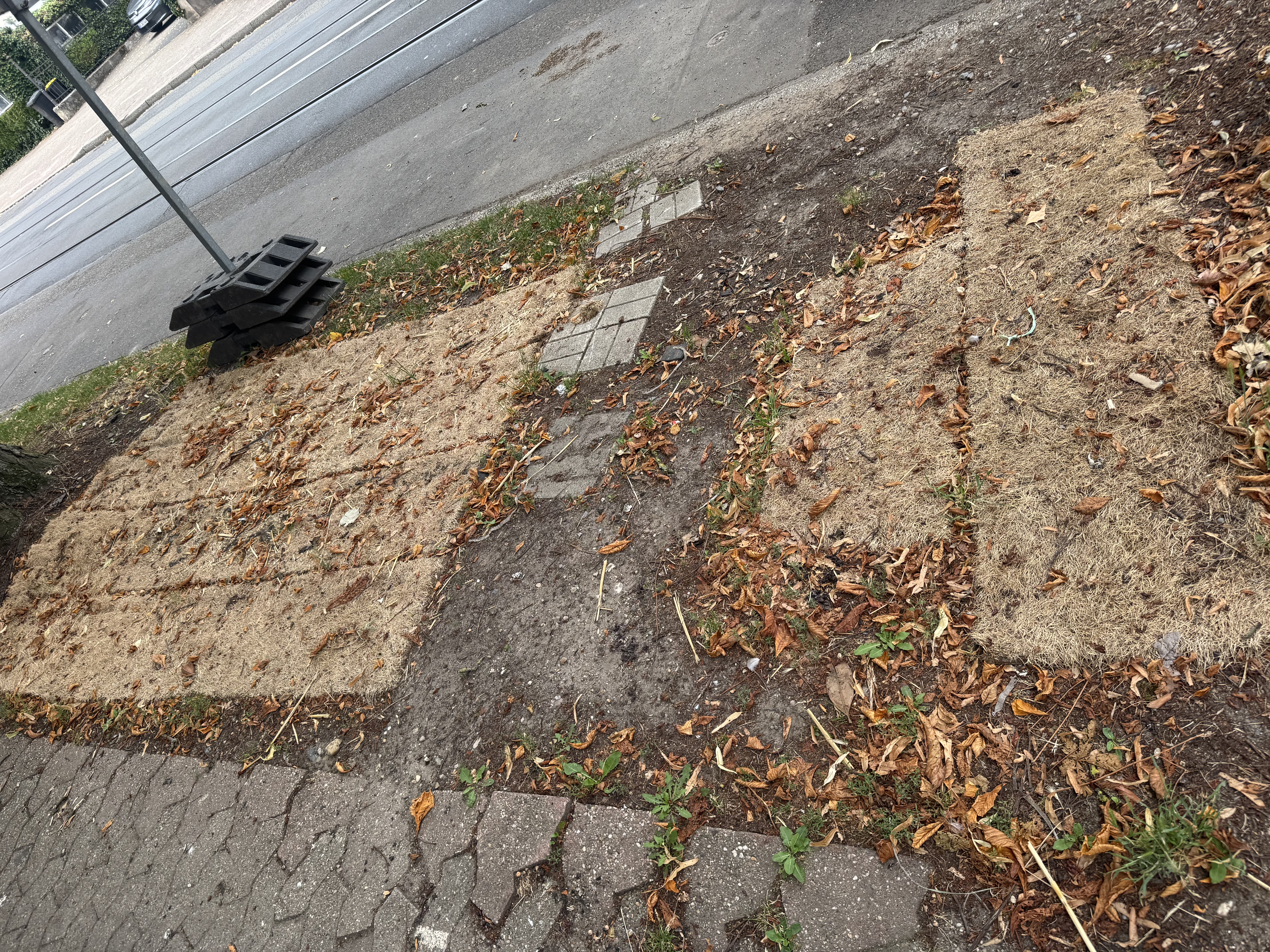 Open311 file from 2025-07-13 18:55:27