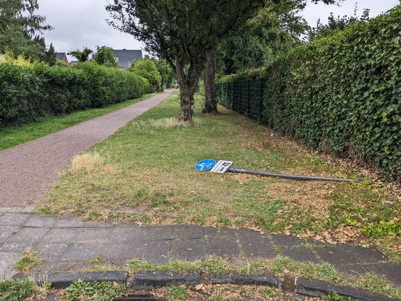 auf der rechten Seite sieht man den Rosenweg richtiung Bockum. Auf der linken Seite den Rasen auf dem der abgebrochene Schildermast liegt. Rechts grenzt der Zaun von der Franz-Stollwerk-Schule an.