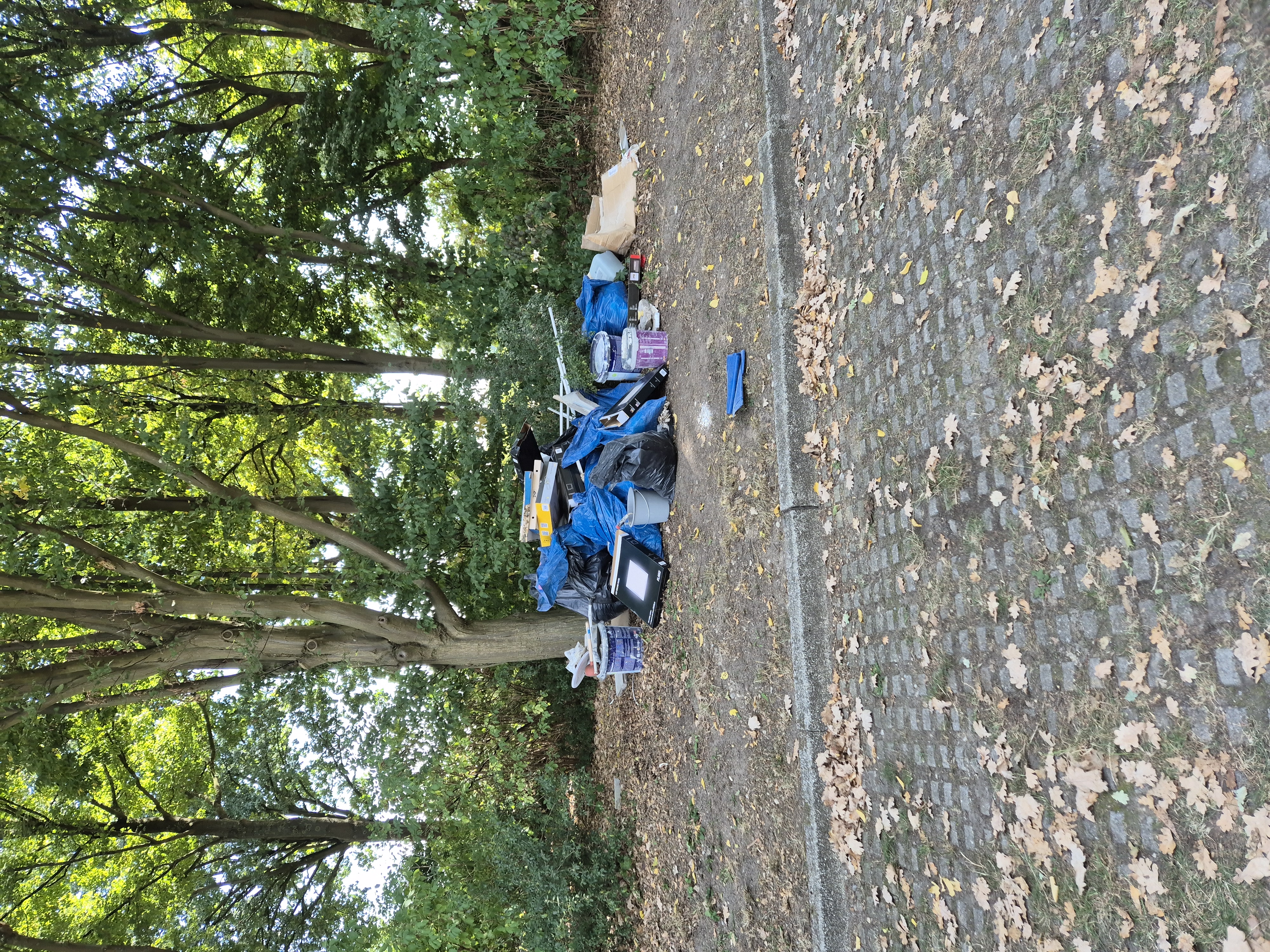 Open311 file from 2025-08-25 15:59:20