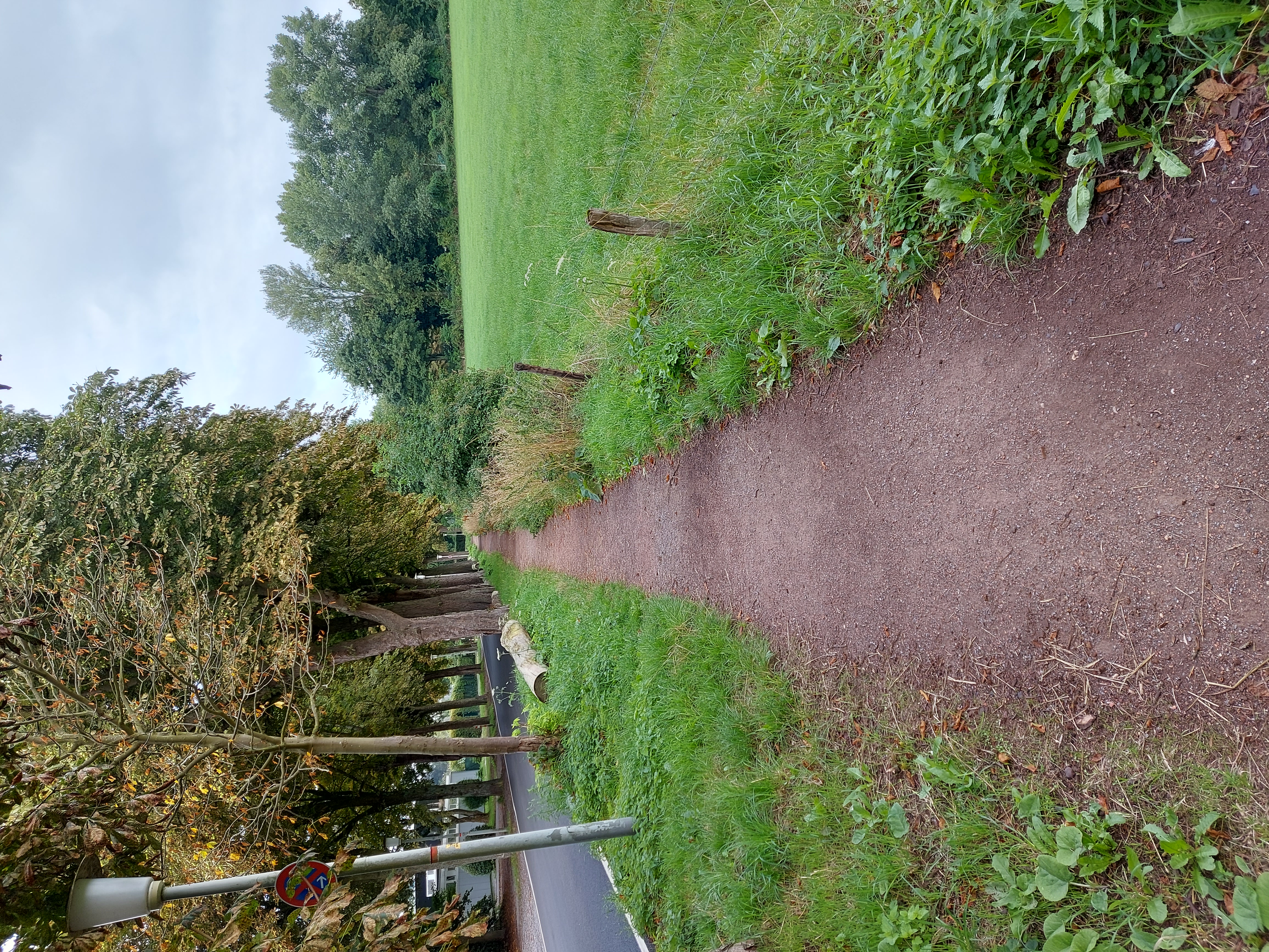 Open311 file from 2025-08-04 11:24:45