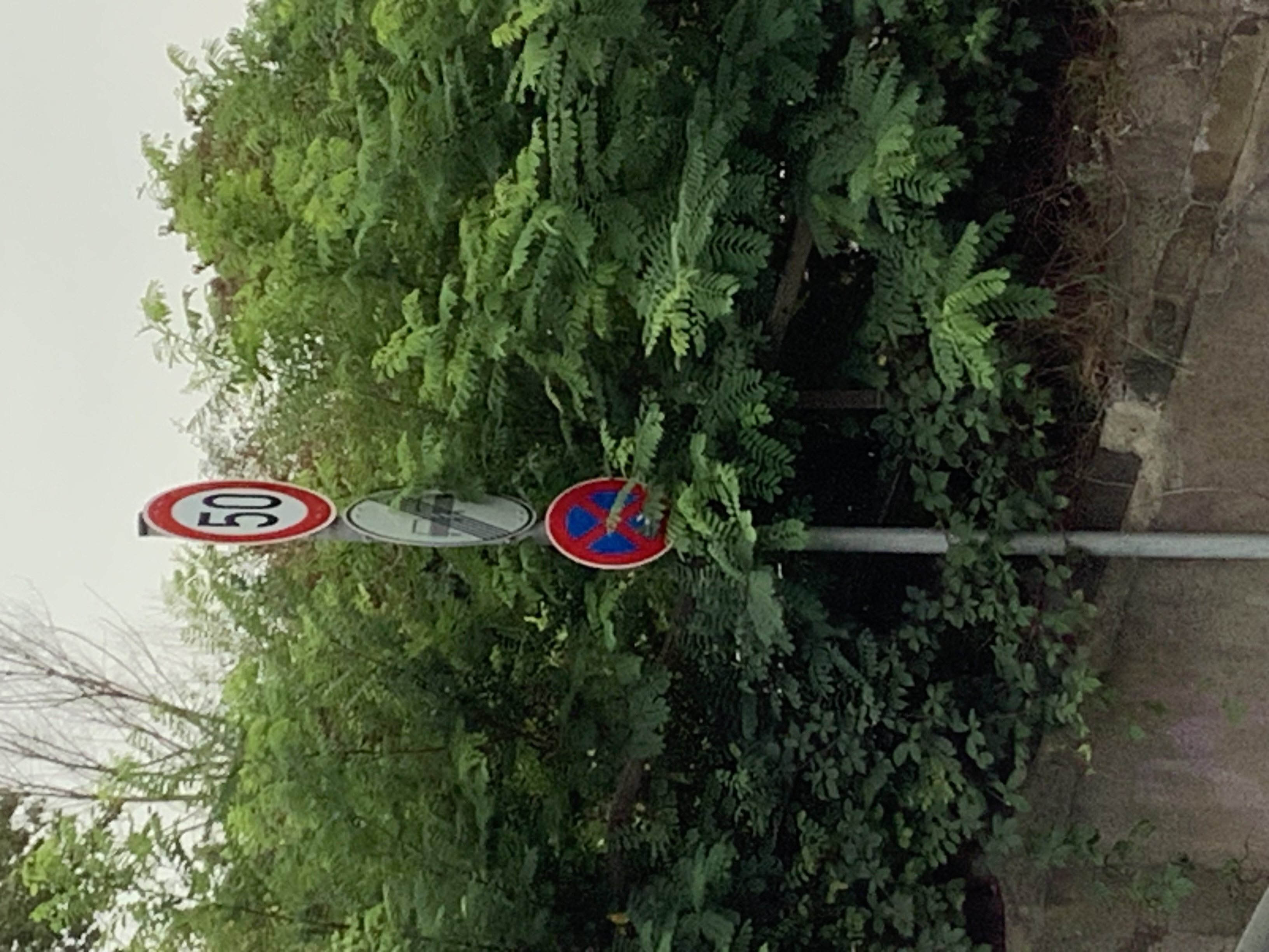 Open311 file from 2025-08-16 10:31:36