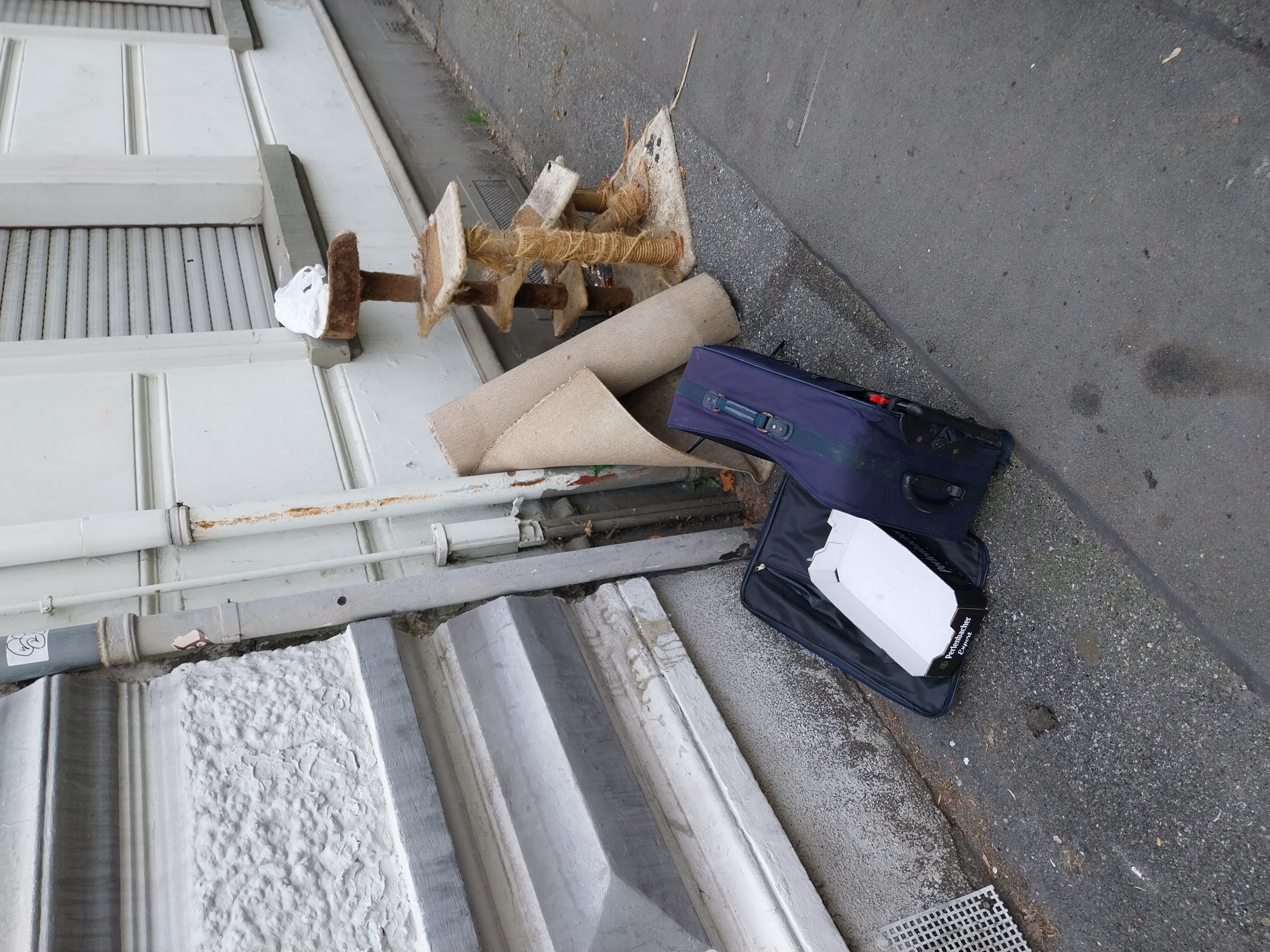 Open311 file from 2025-09-29 08:41:58