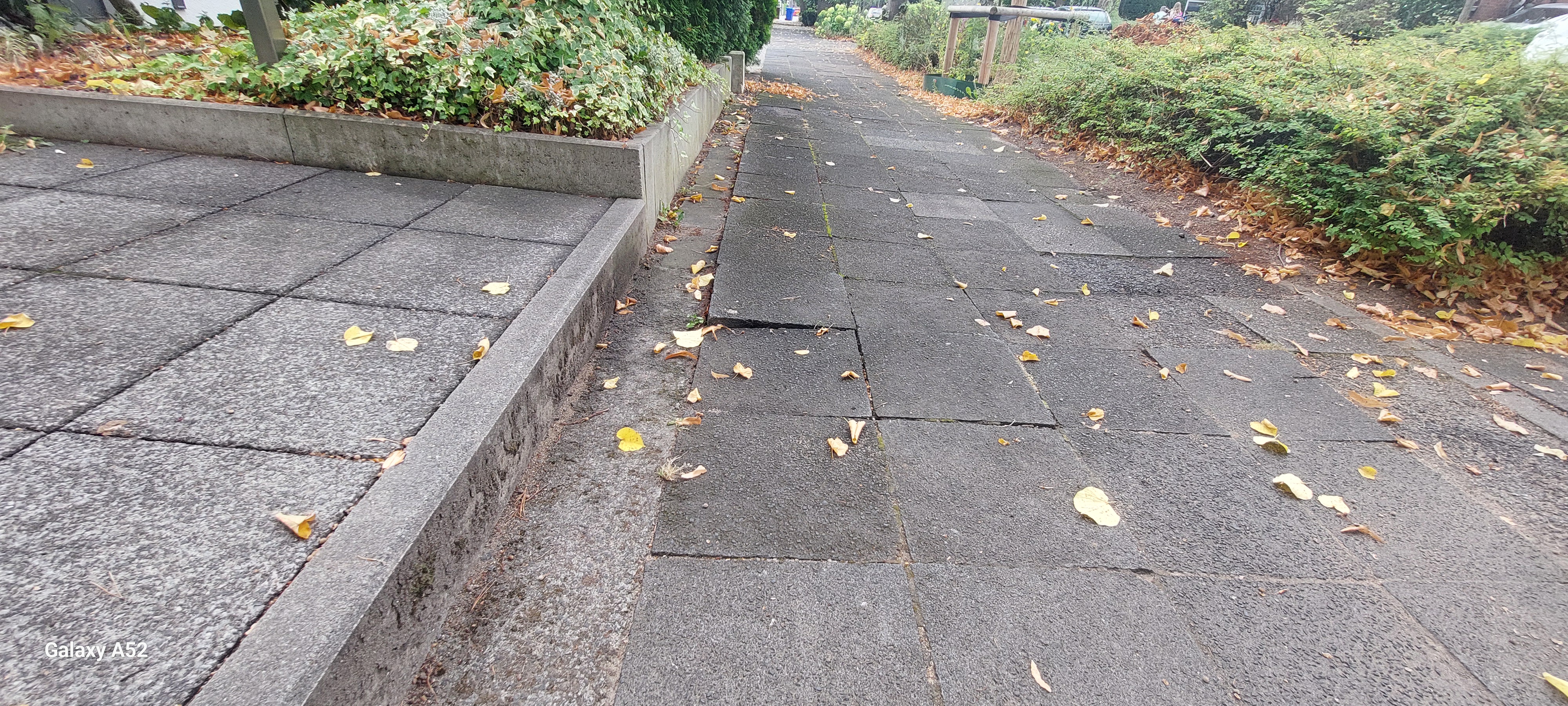 Open311 file from 2025-09-08 16:53:00