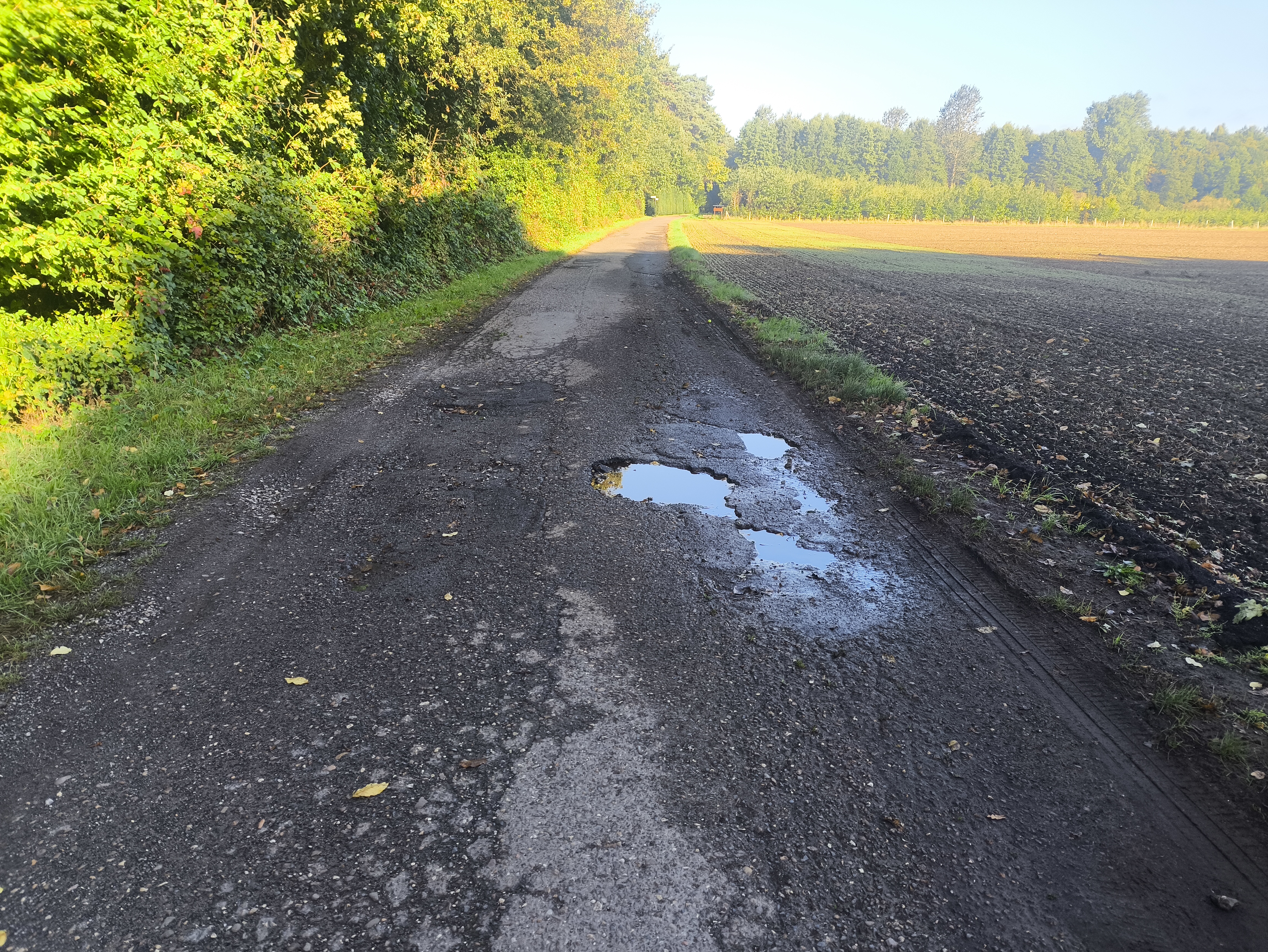 Open311 file from 2025-09-05 08:54:21