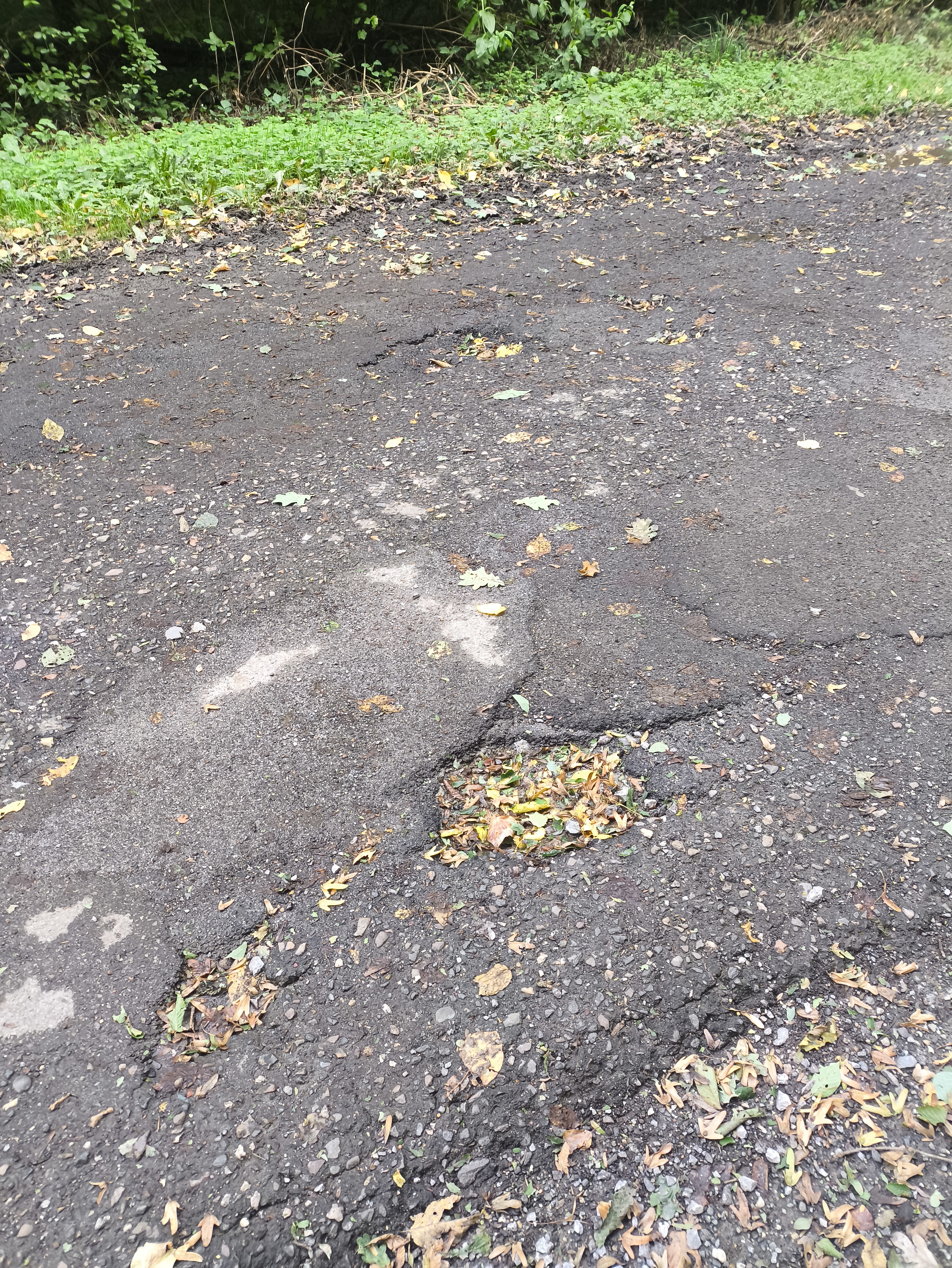 Open311 file from 2025-09-16 09:23:06