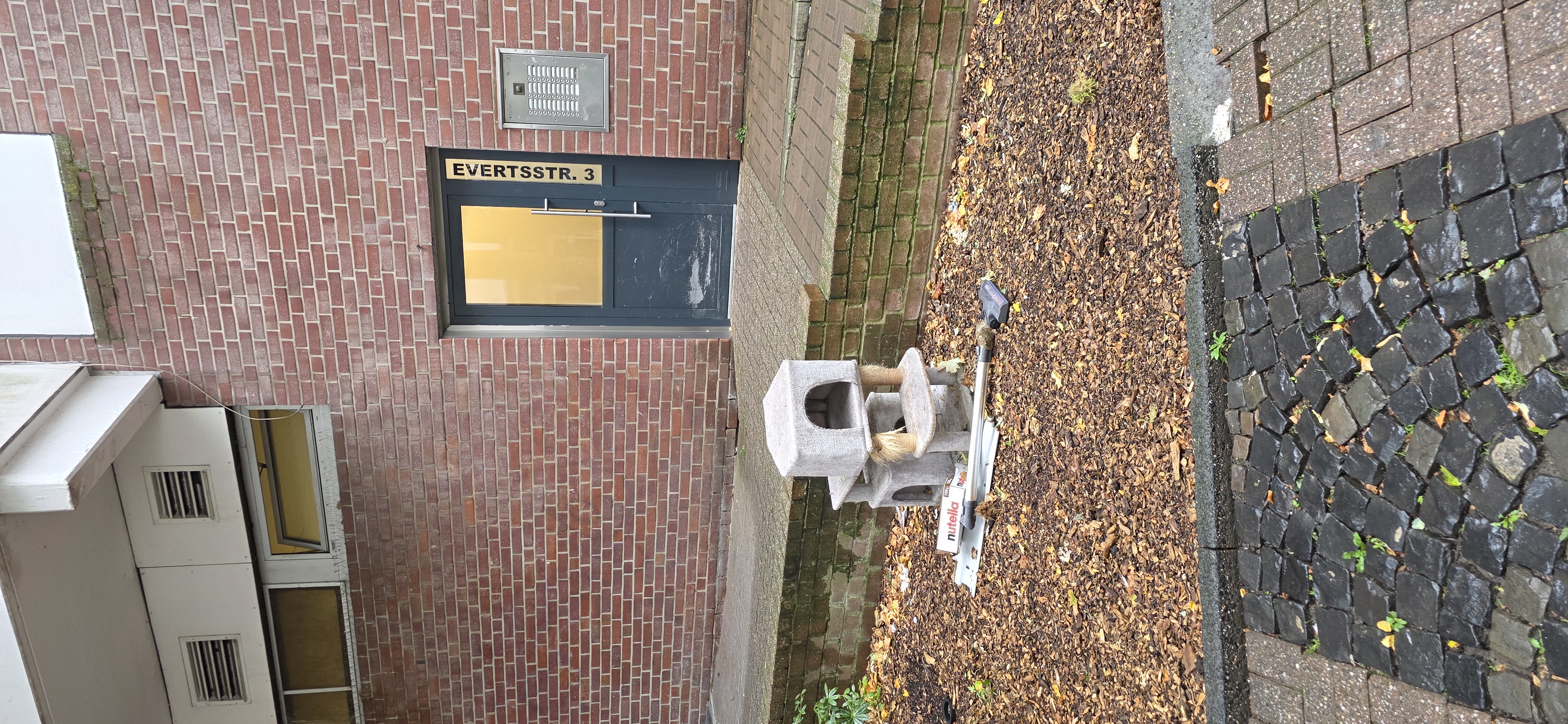 Open311 file from 2025-09-08 10:18:00