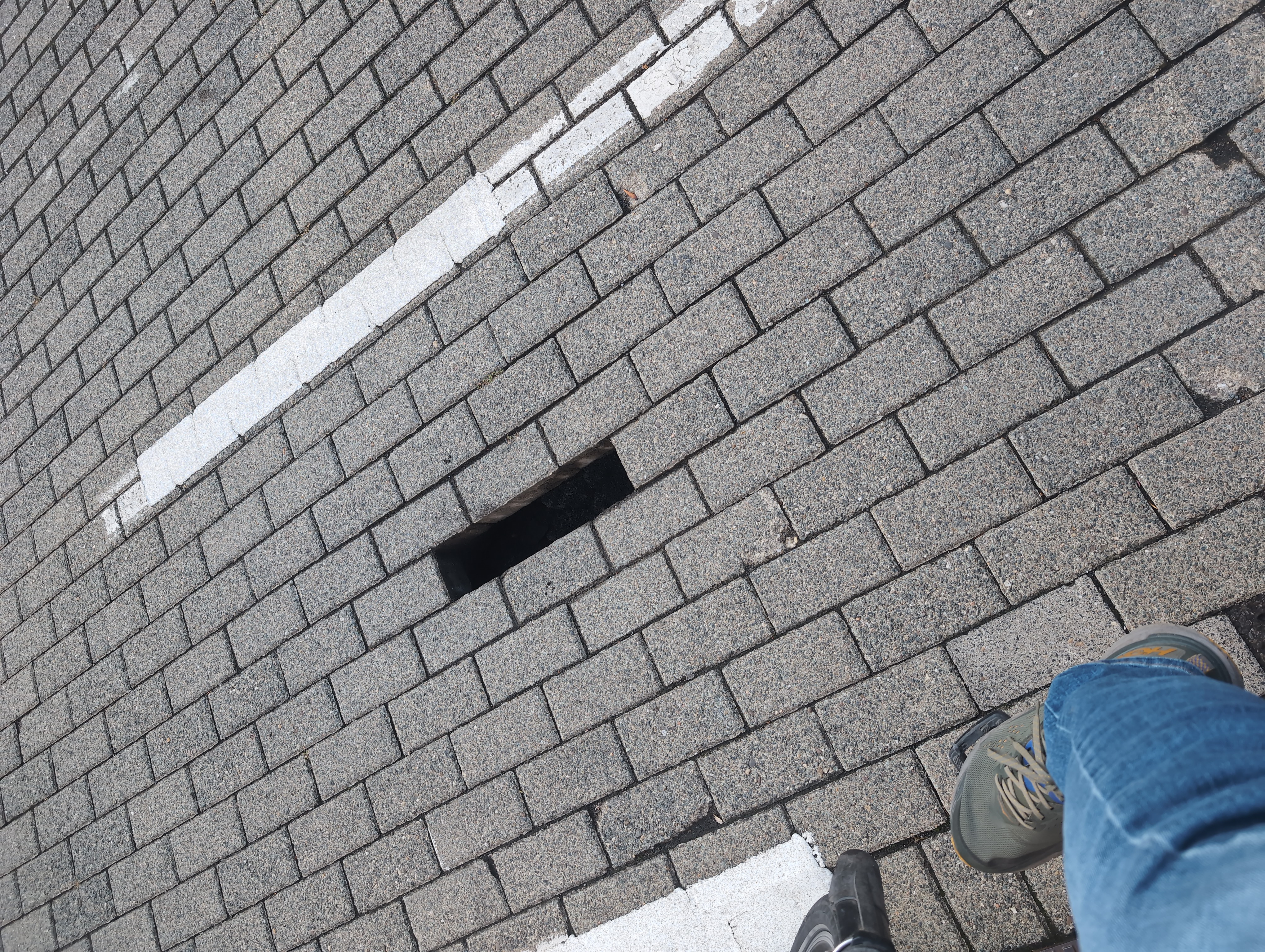 Open311 file from 2025-09-26 09:45:46