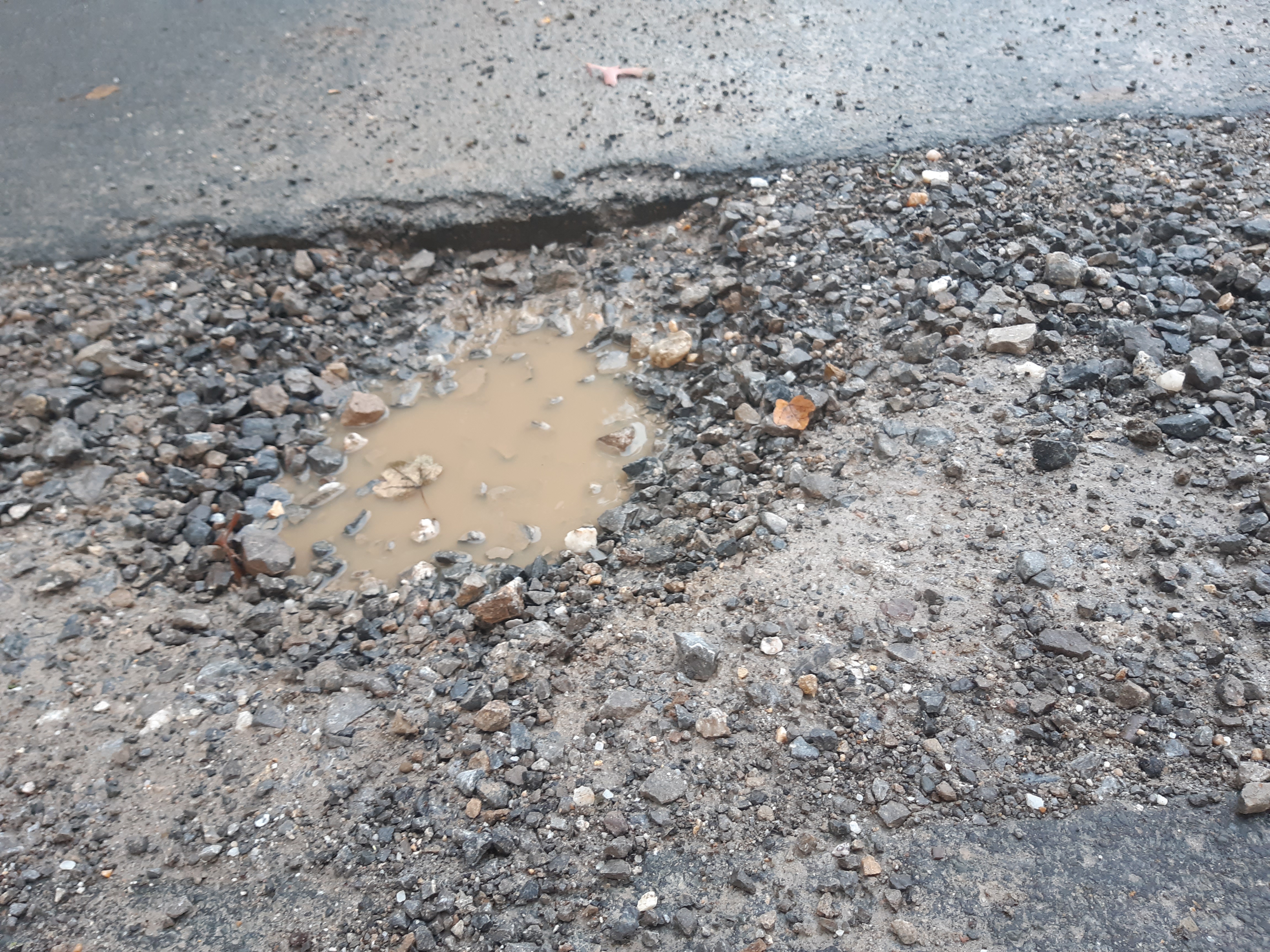 Open311 file from 2025-09-09 19:12:41