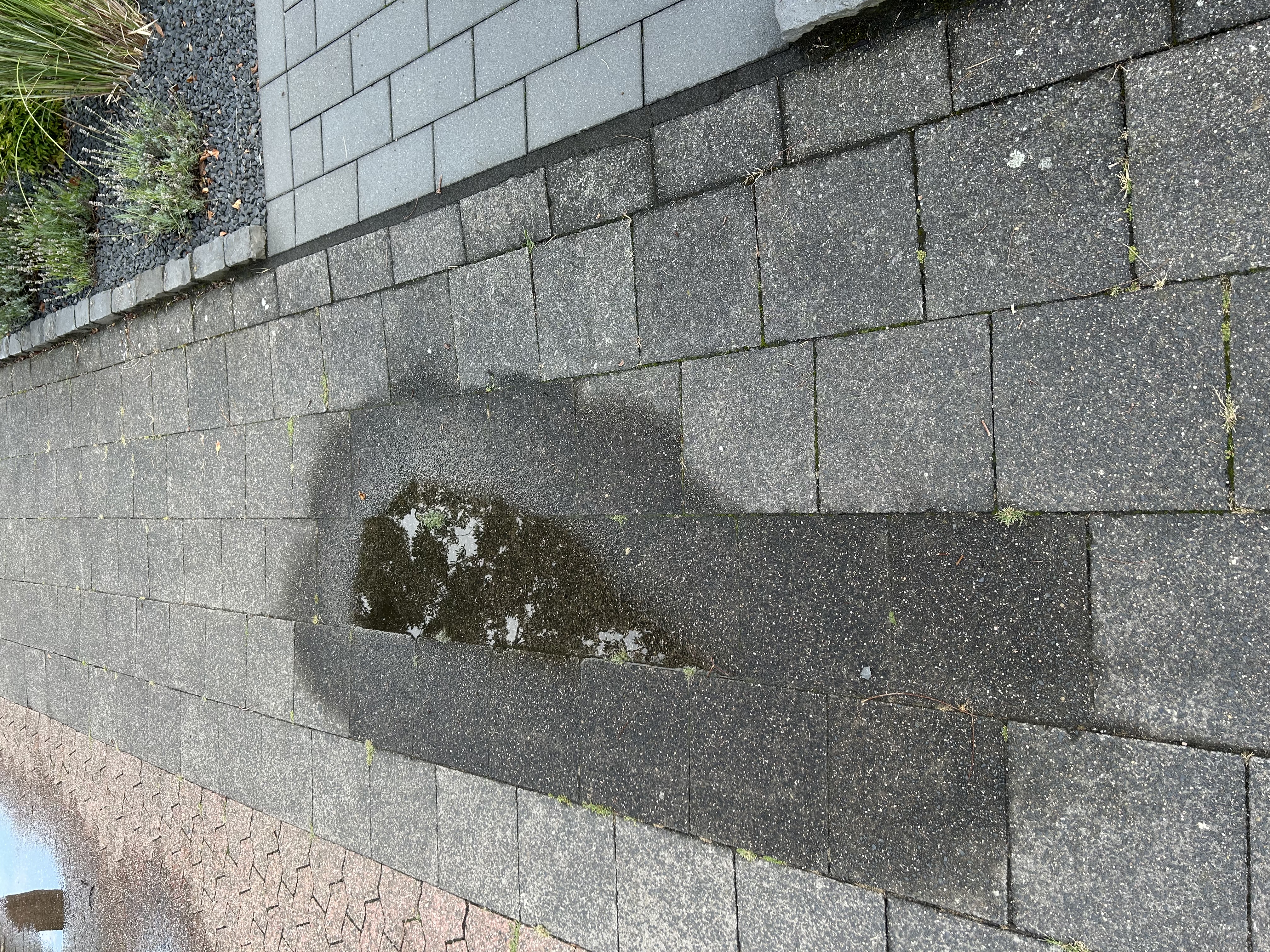 Open311 file from 2025-09-12 20:29:31