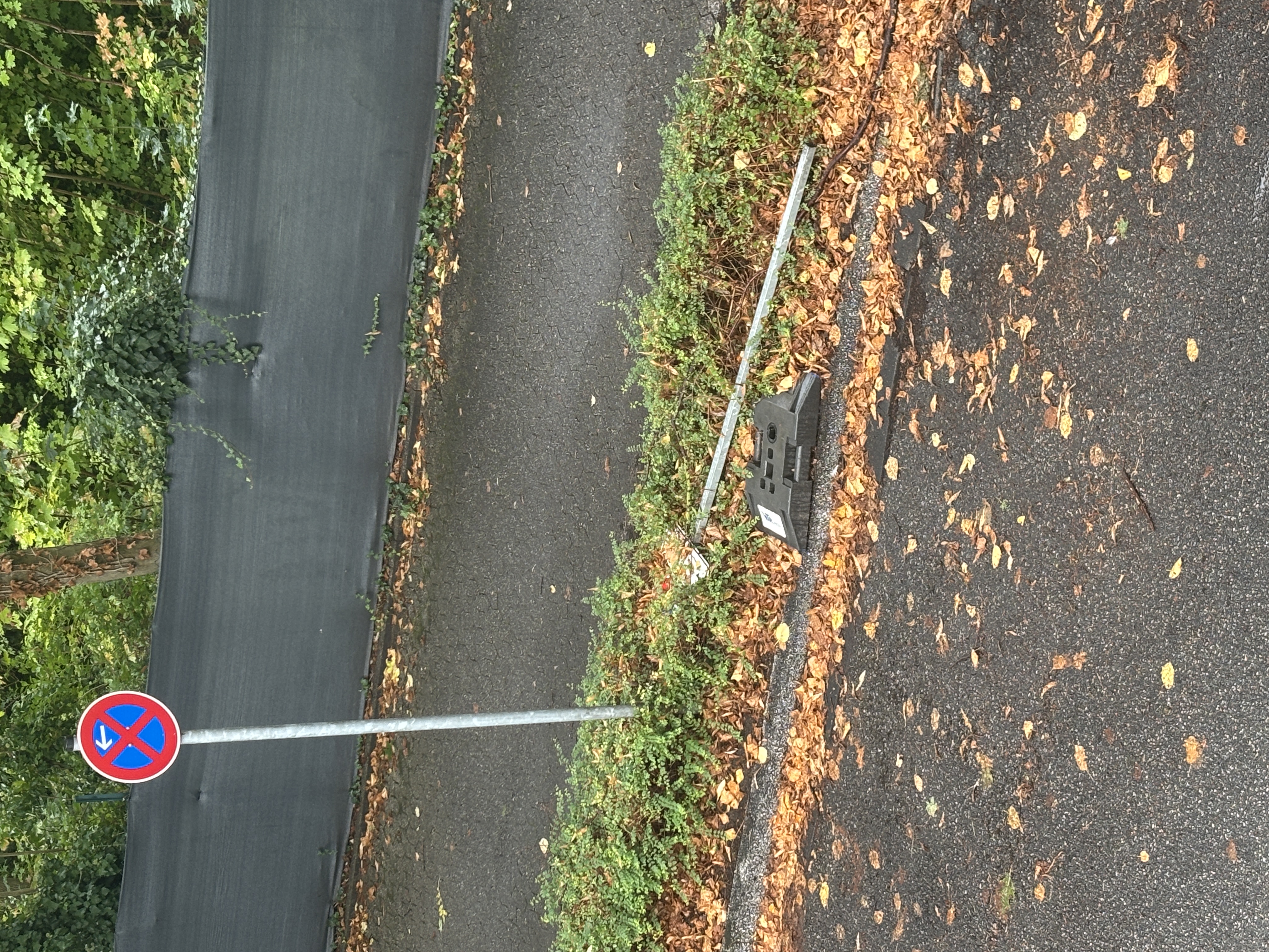 Open311 file from 2025-09-13 09:00:38