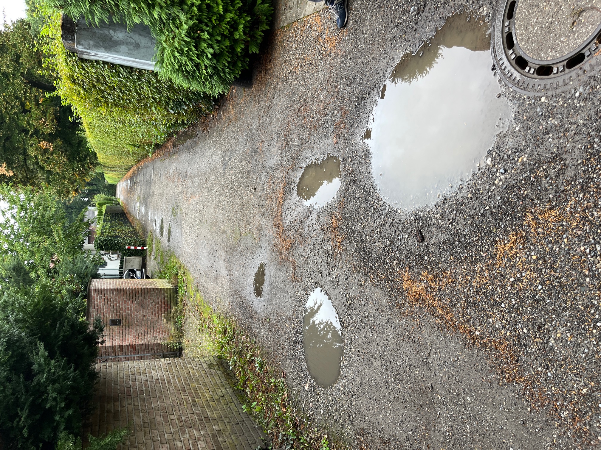 Open311 file from 2025-09-10 10:23:08