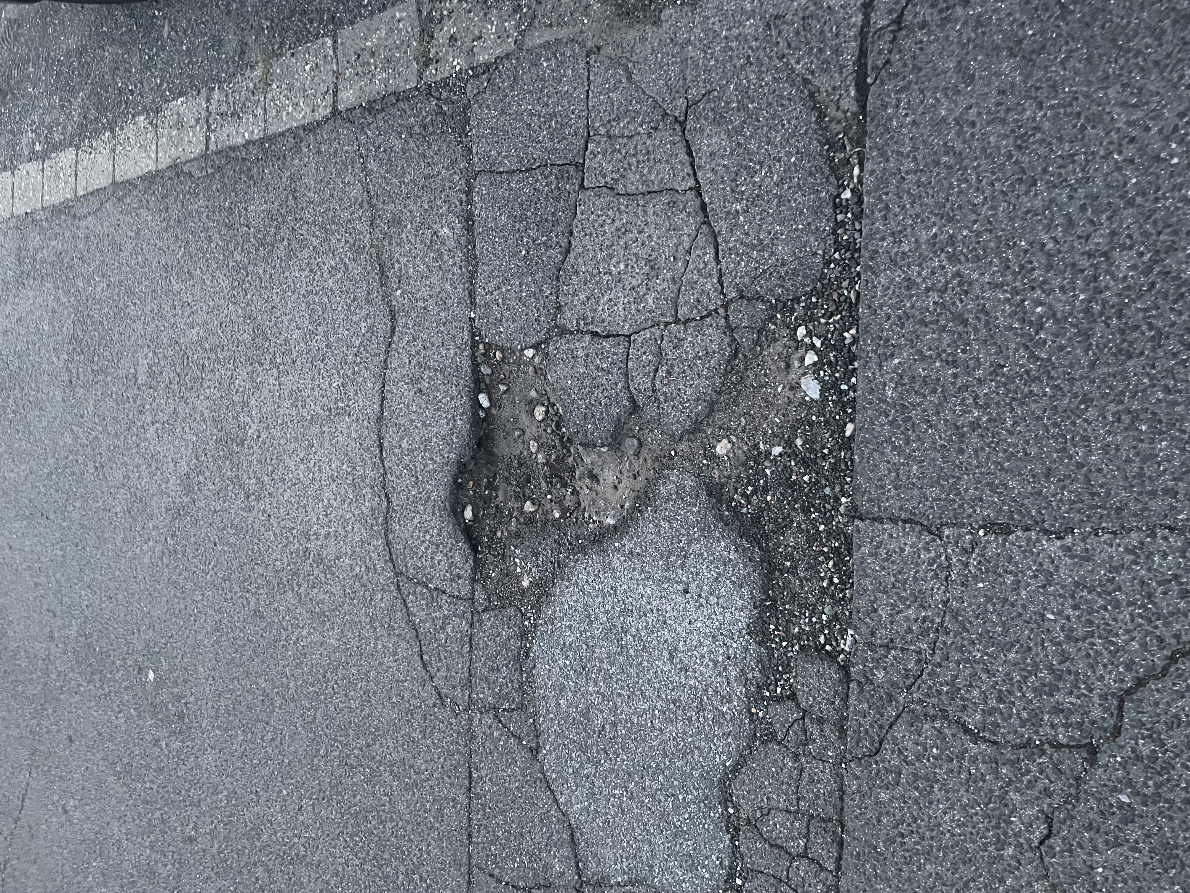 Open311 file from 2025-09-10 20:24:38