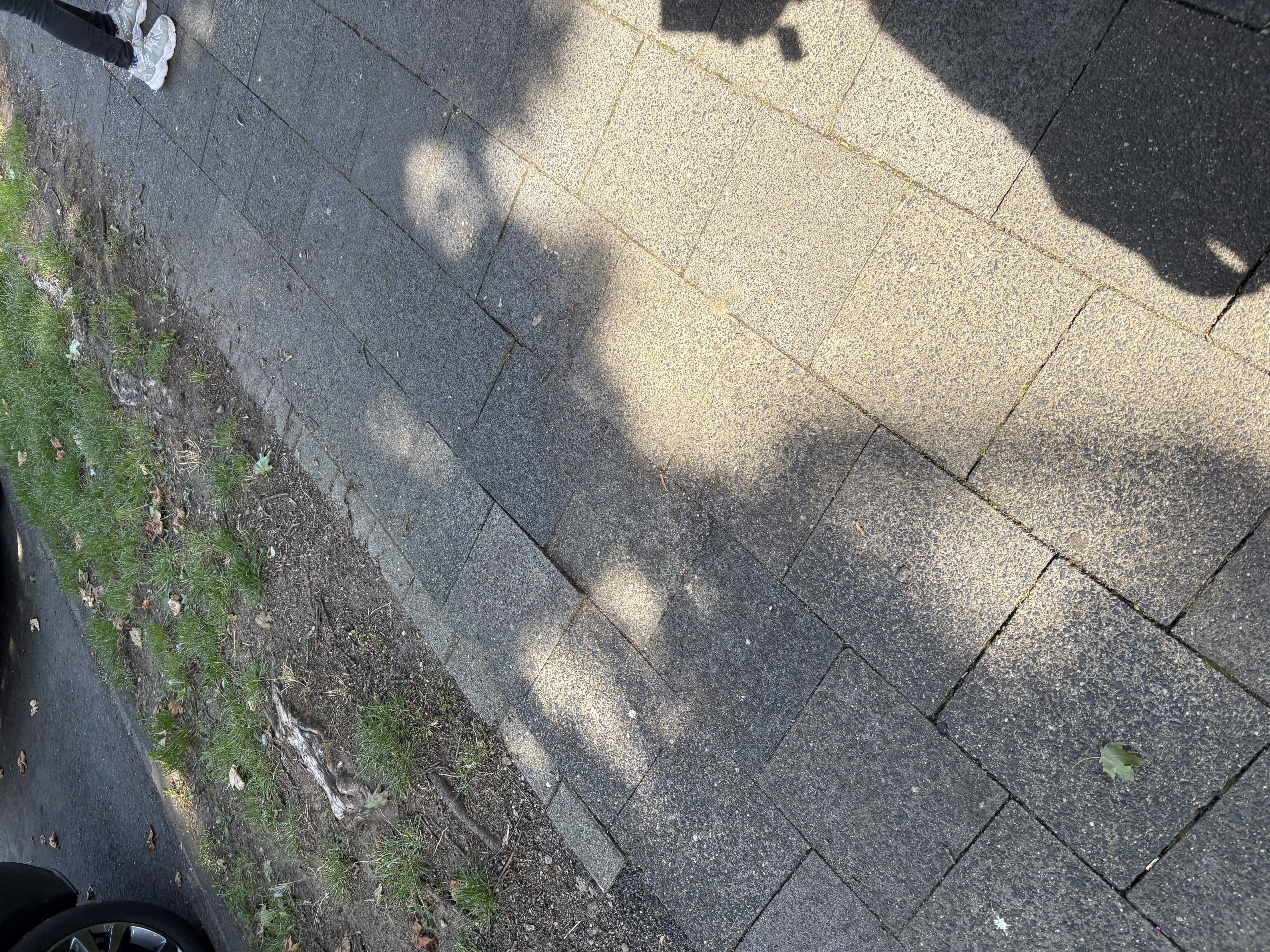 Open311 file from 2025-09-06 13:18:48