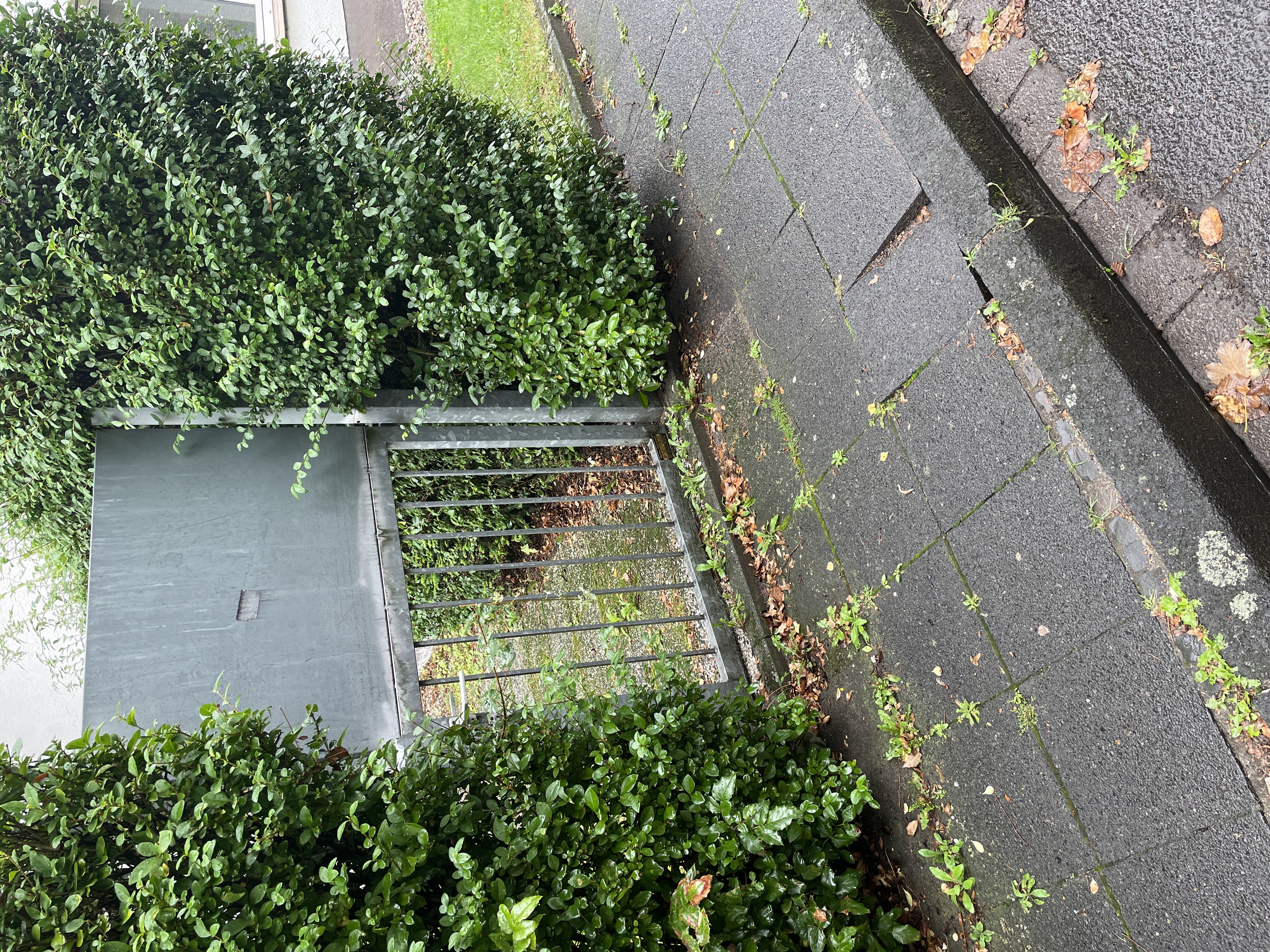 Open311 file from 2025-09-09 12:37:58