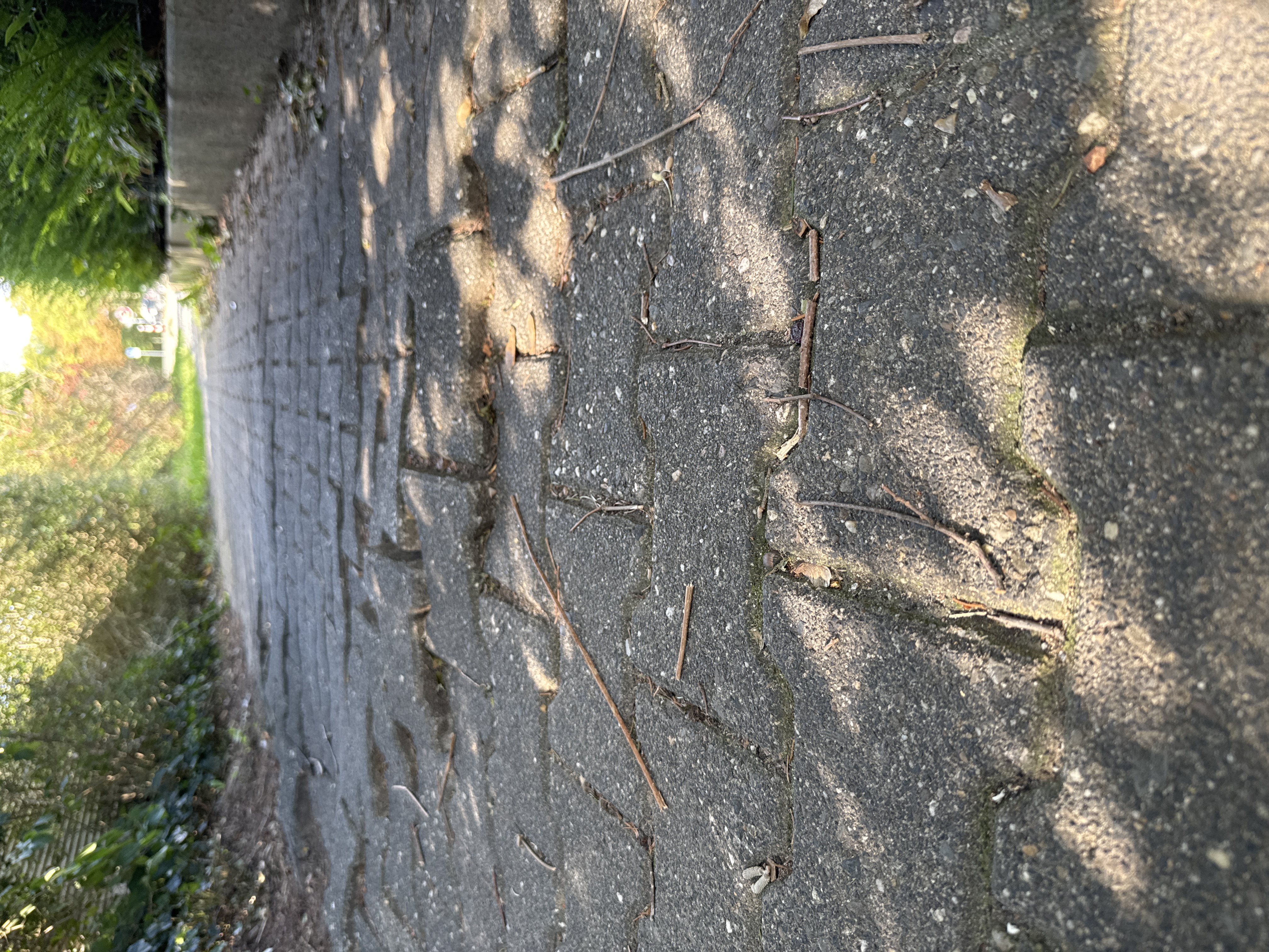 Open311 file from 2025-09-27 14:47:54