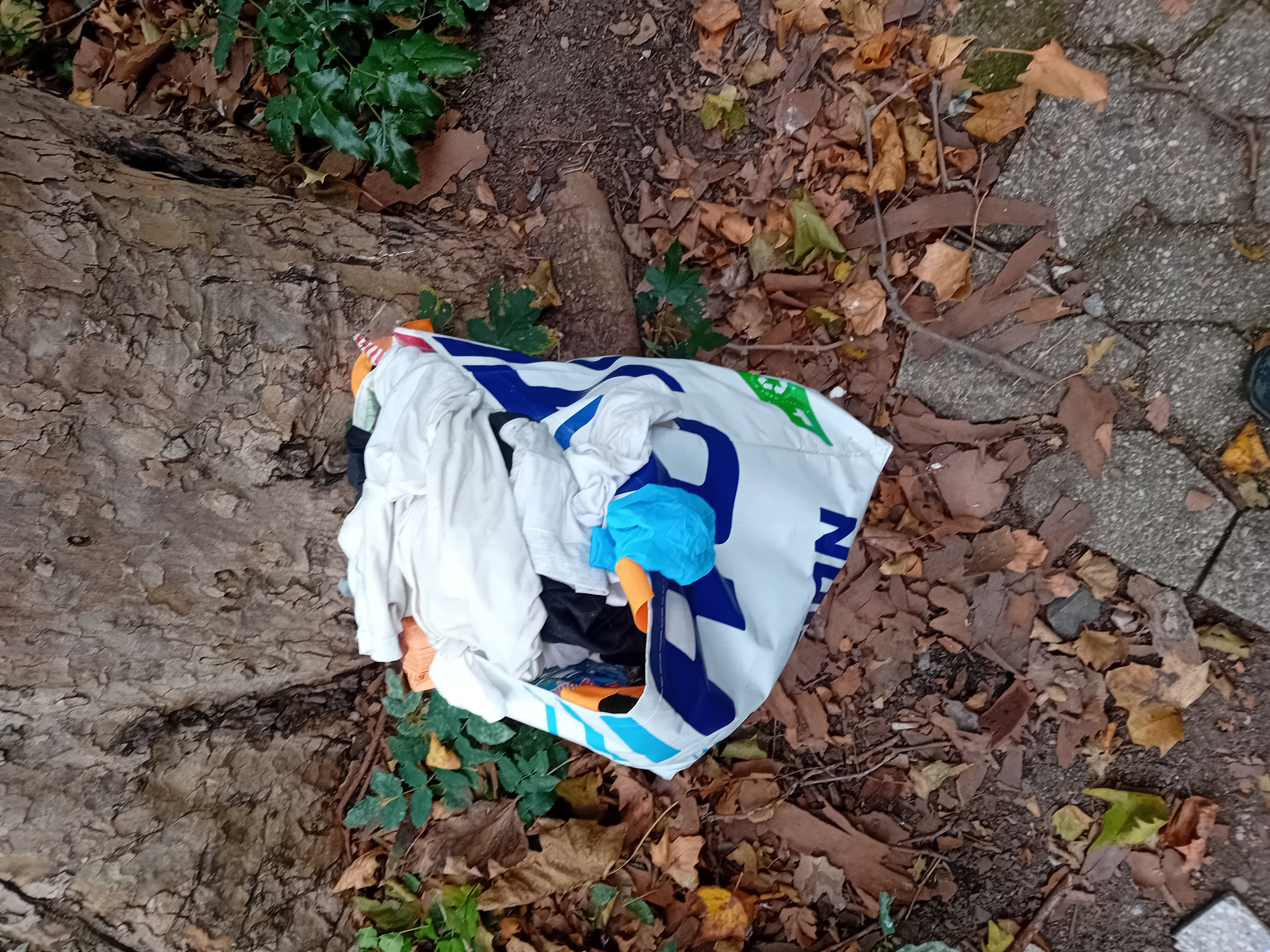 Open311 file from 2025-10-14 14:20:26