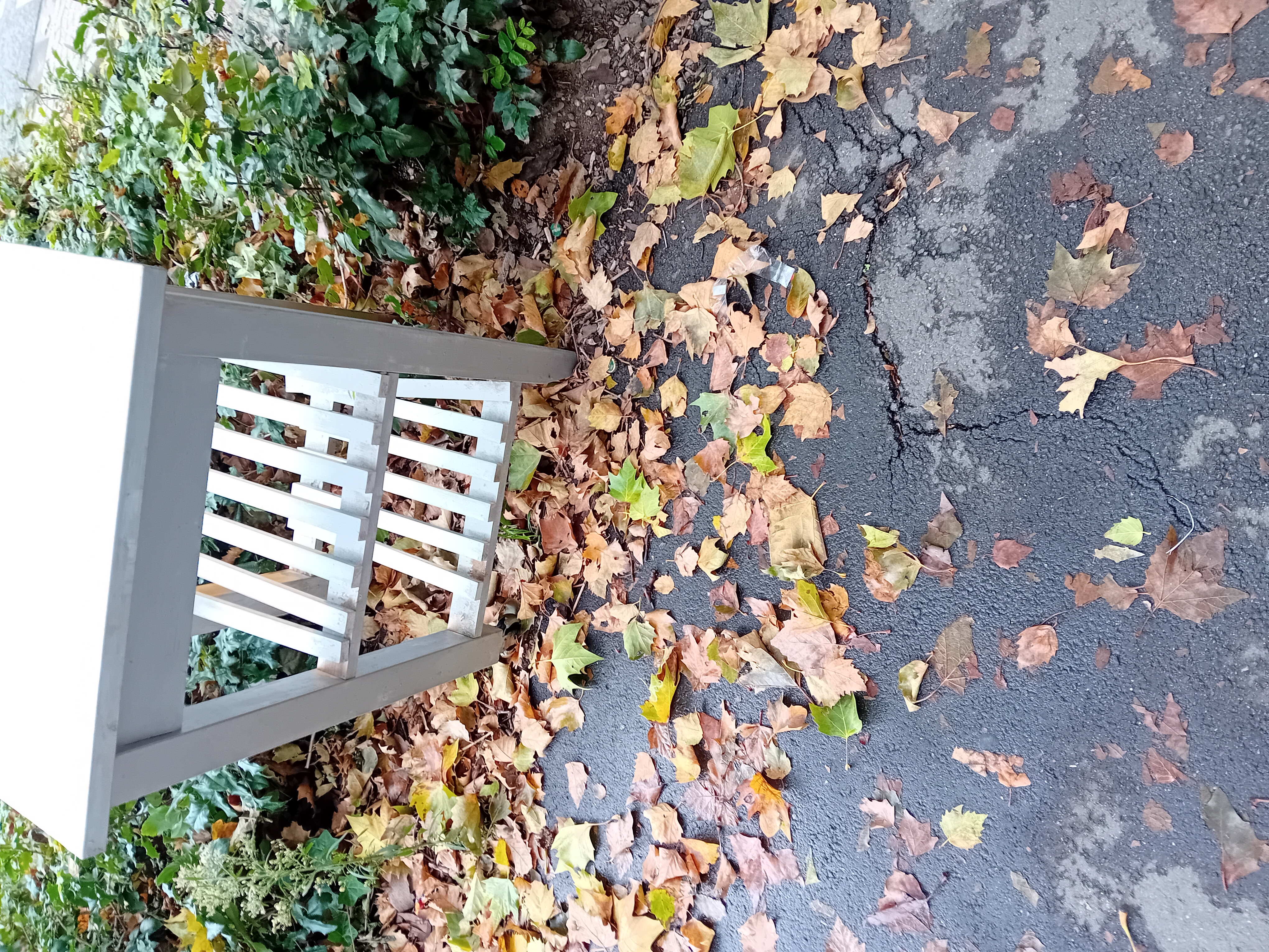 Open311 file from 2025-10-21 13:29:09