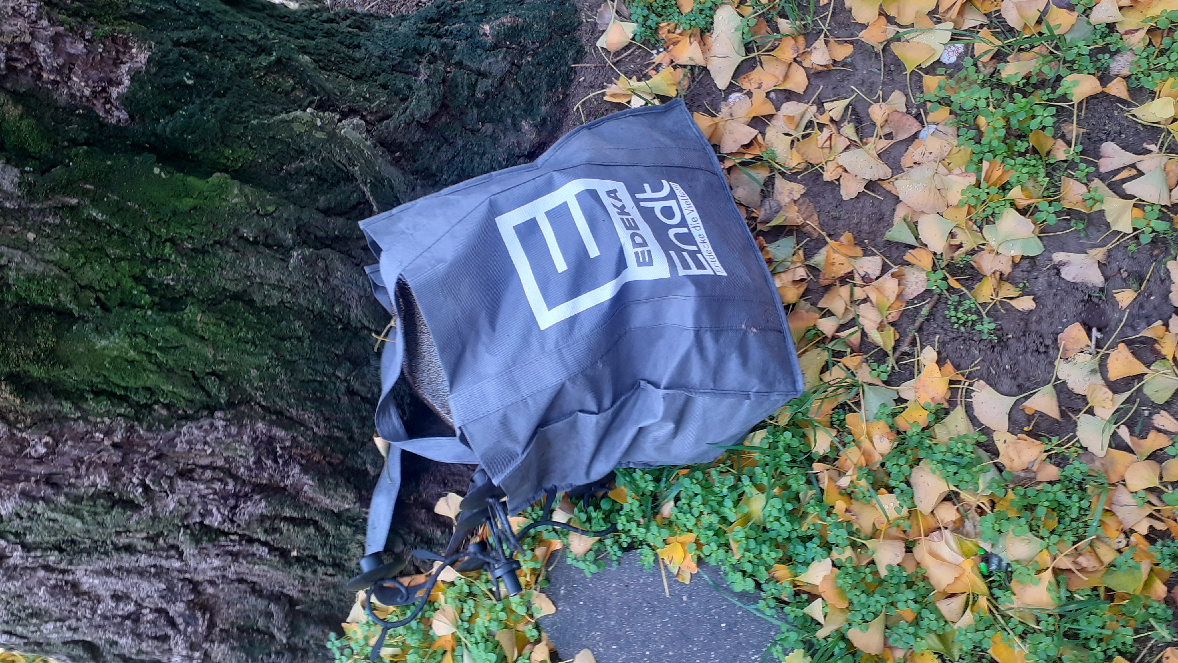 Open311 file from 2025-10-28 11:59:31