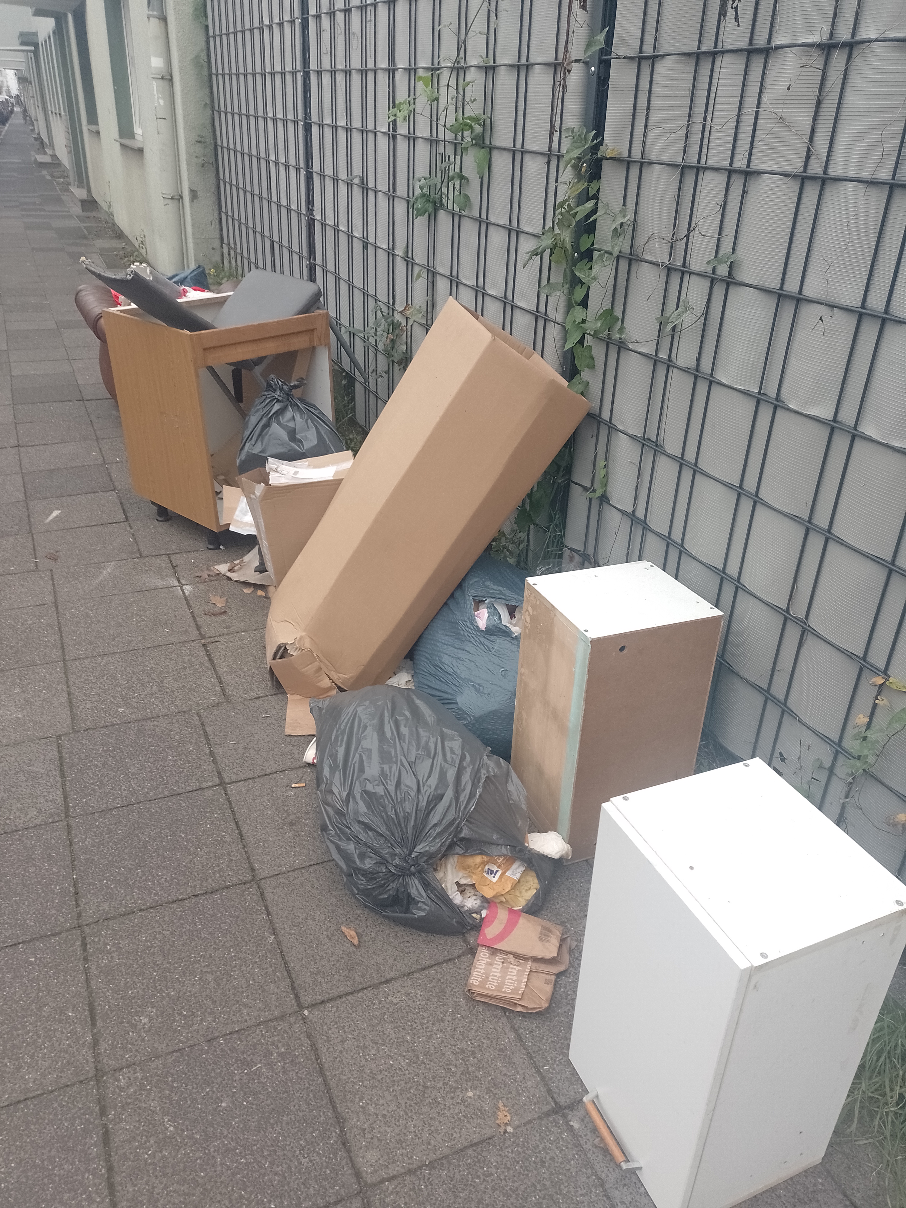 Open311 file from 2025-10-14 11:18:43