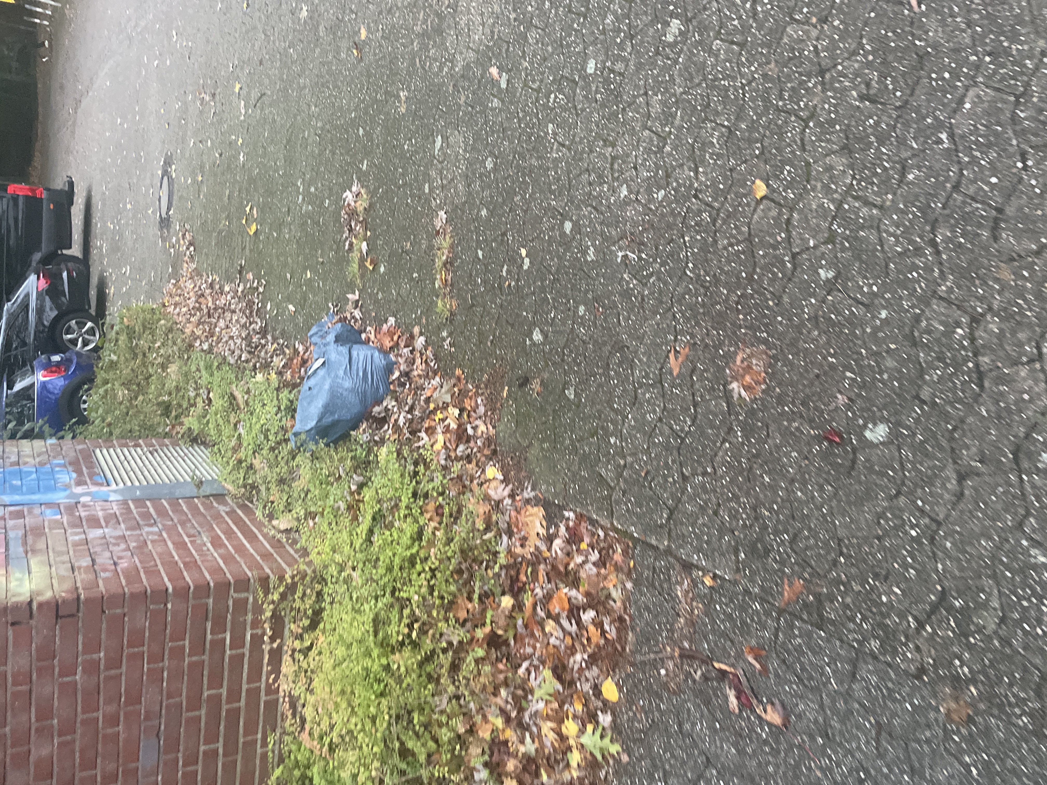 Open311 file from 2025-10-07 08:08:43