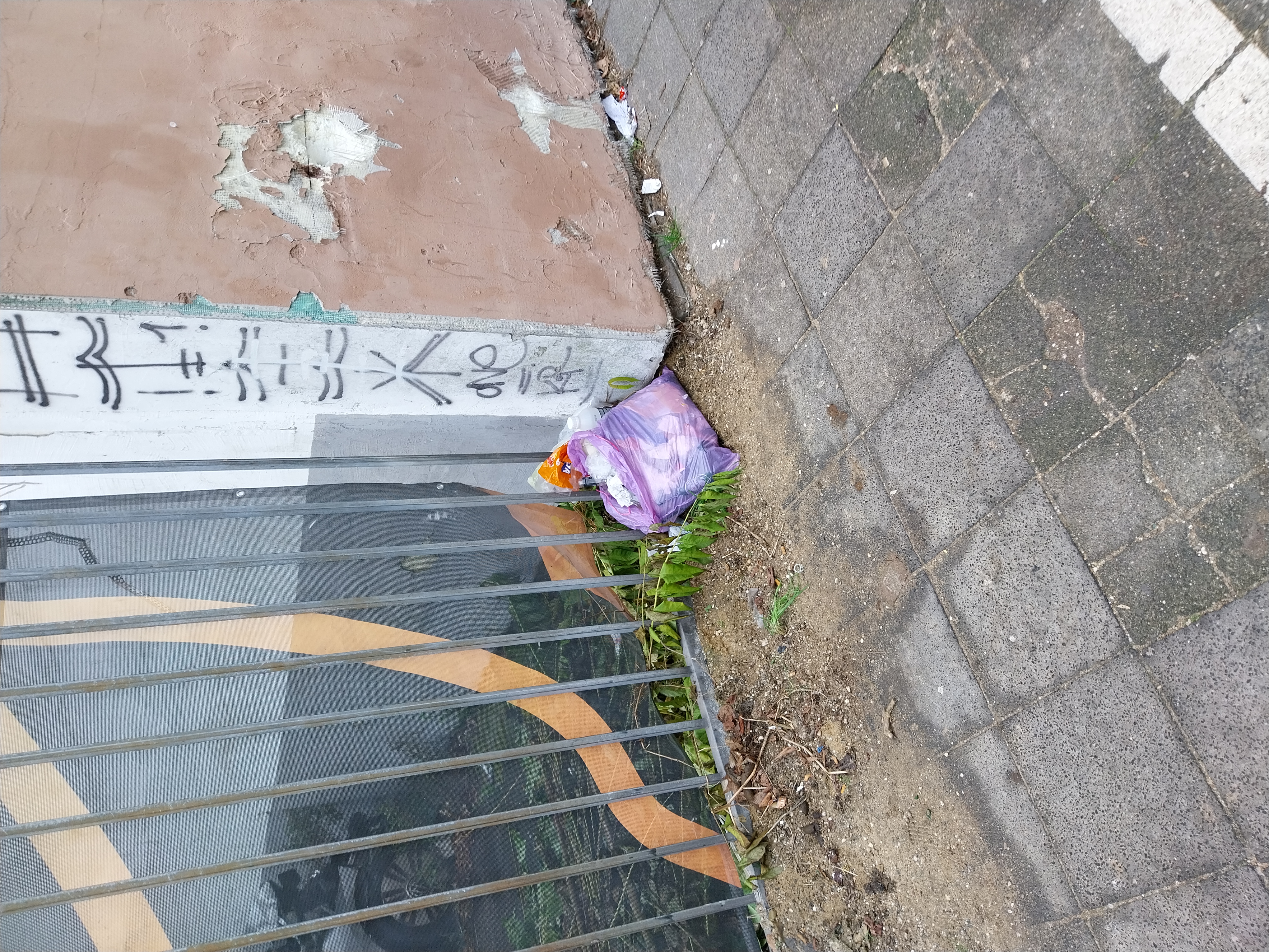 Open311 file from 2025-11-24 12:52:44