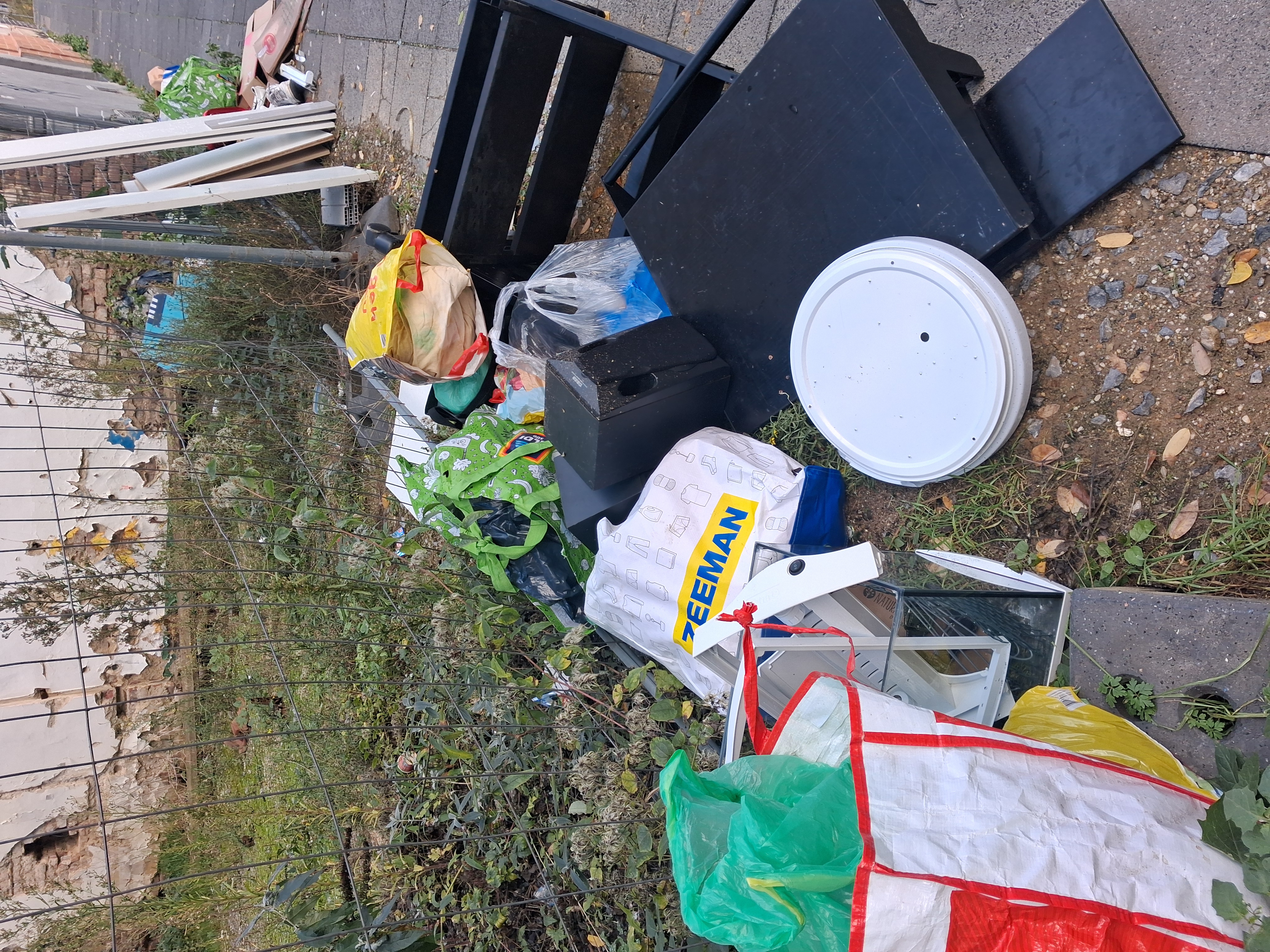 Open311 file from 2025-11-20 13:17:28