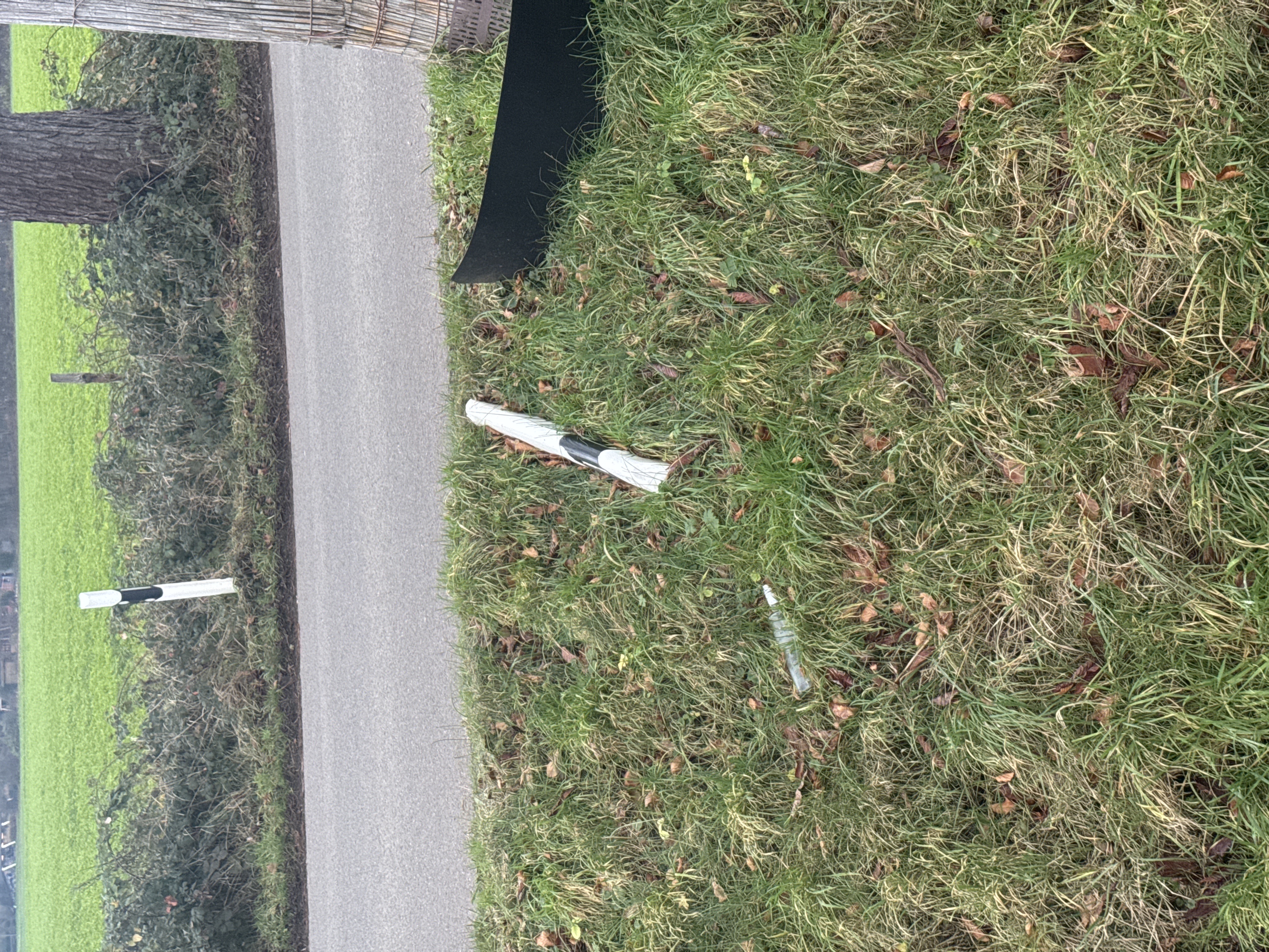 Open311 file from 2025-12-17 08:44:22