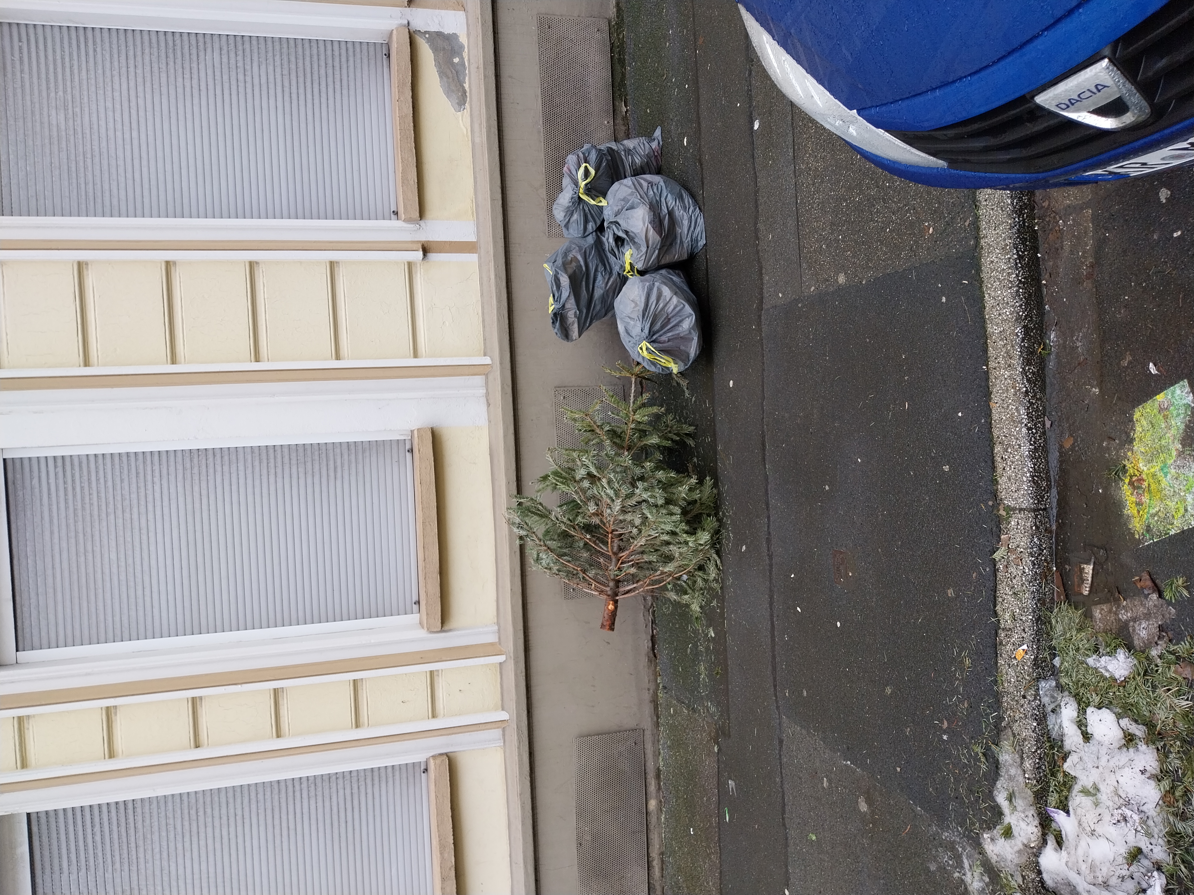 Open311 file from 2026-01-12 12:35:09